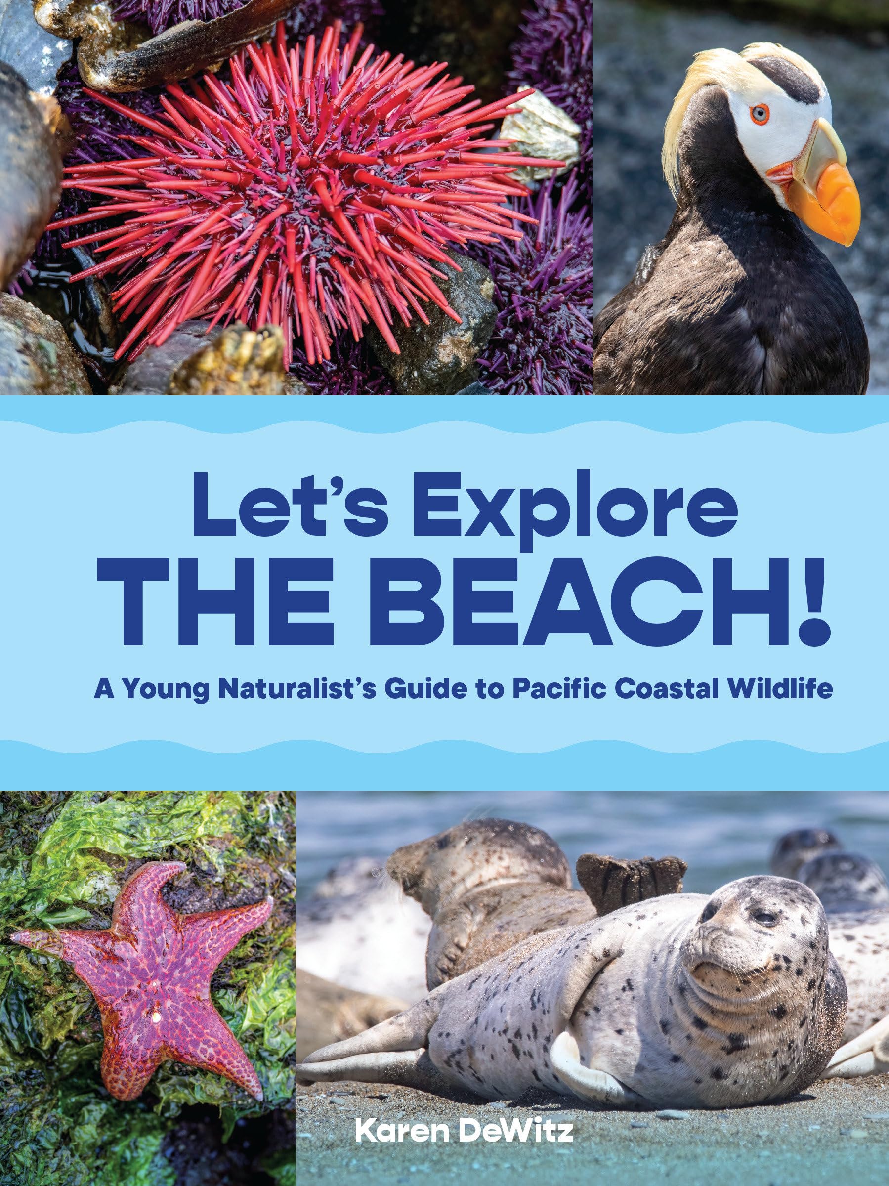 Lets Explore The Beach!: A Young Naturalists Guide To Pacific Coastal Wildlife,Used