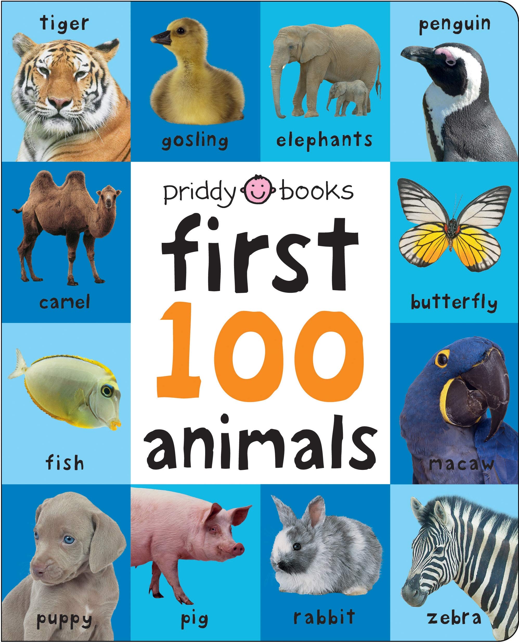First 100 Animals Padded (large),Used