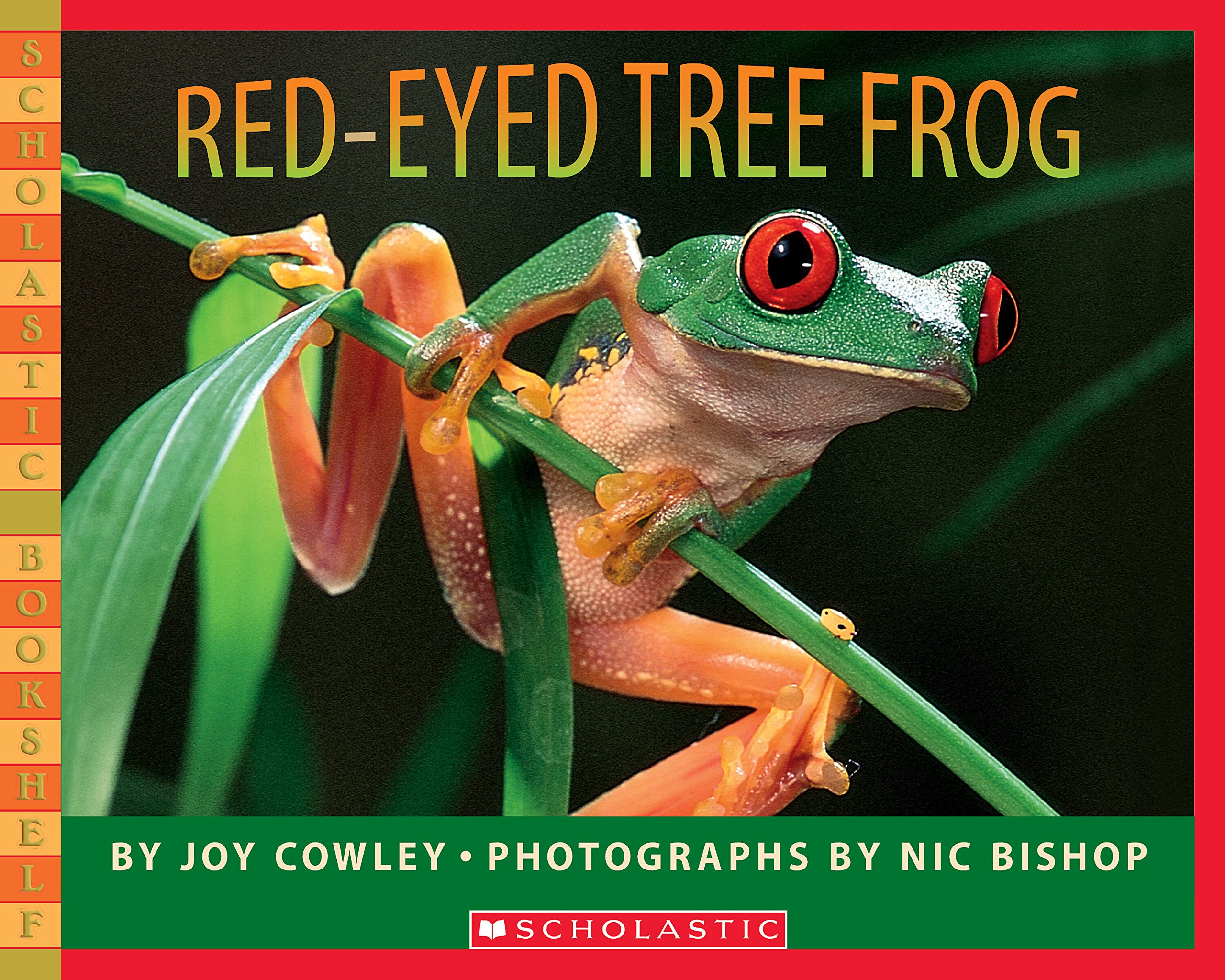 Redeyed Tree Frog (Scholastic Bookshelf),New