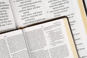 ESV Super Giant Print(Font Size  17pt) Bible (TruTone, Black),New