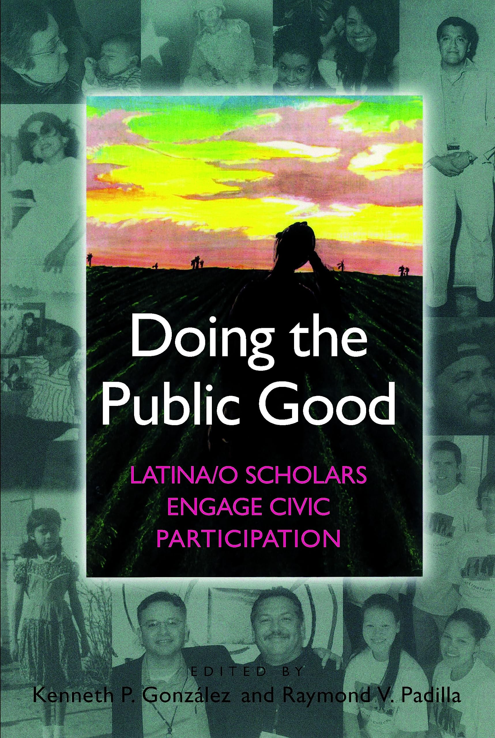 Doing the Public Good,Used