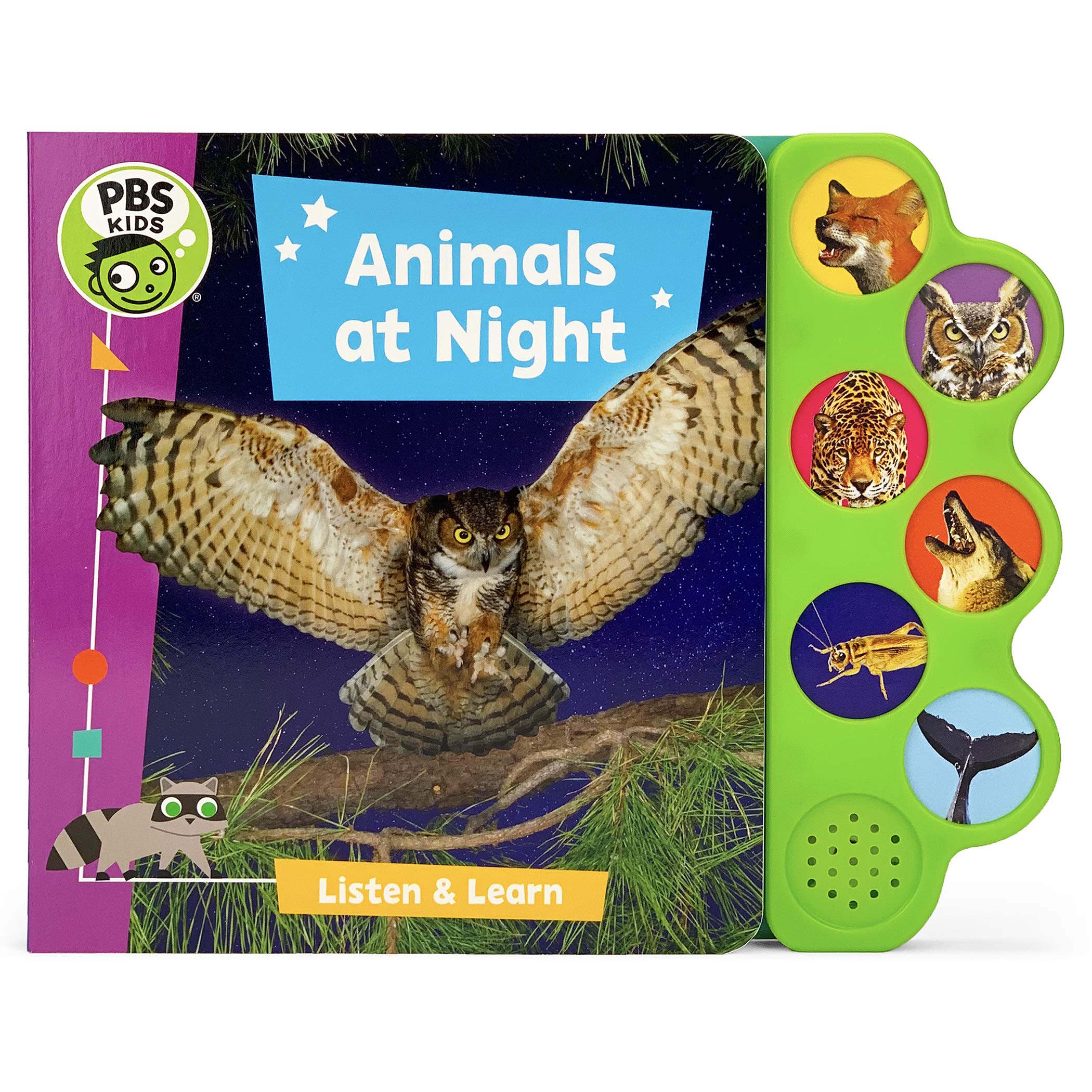 Animals at Night (PBS Kids)