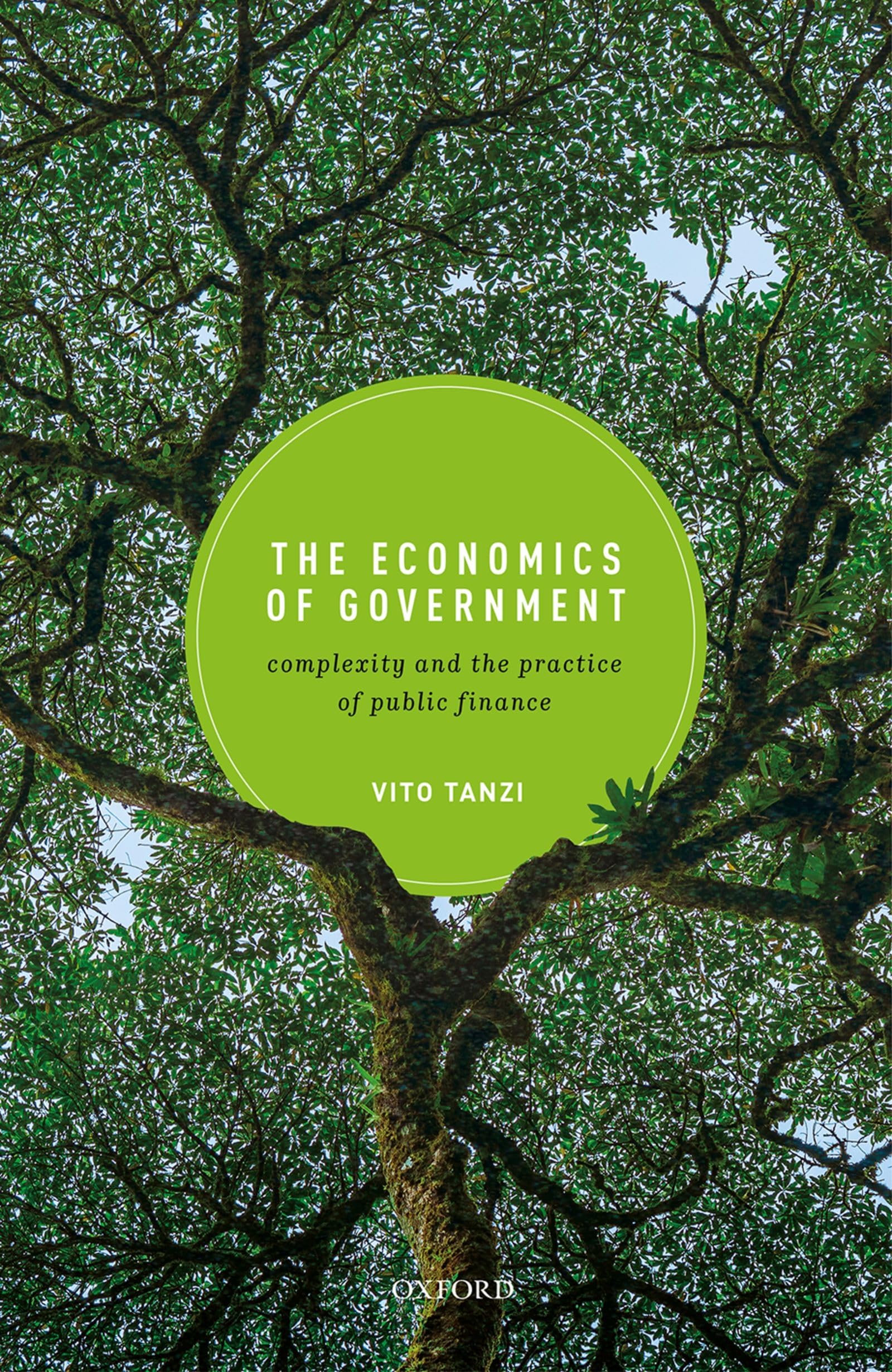 The Economics of Government: Complexity and the Practice of Public Finance,New