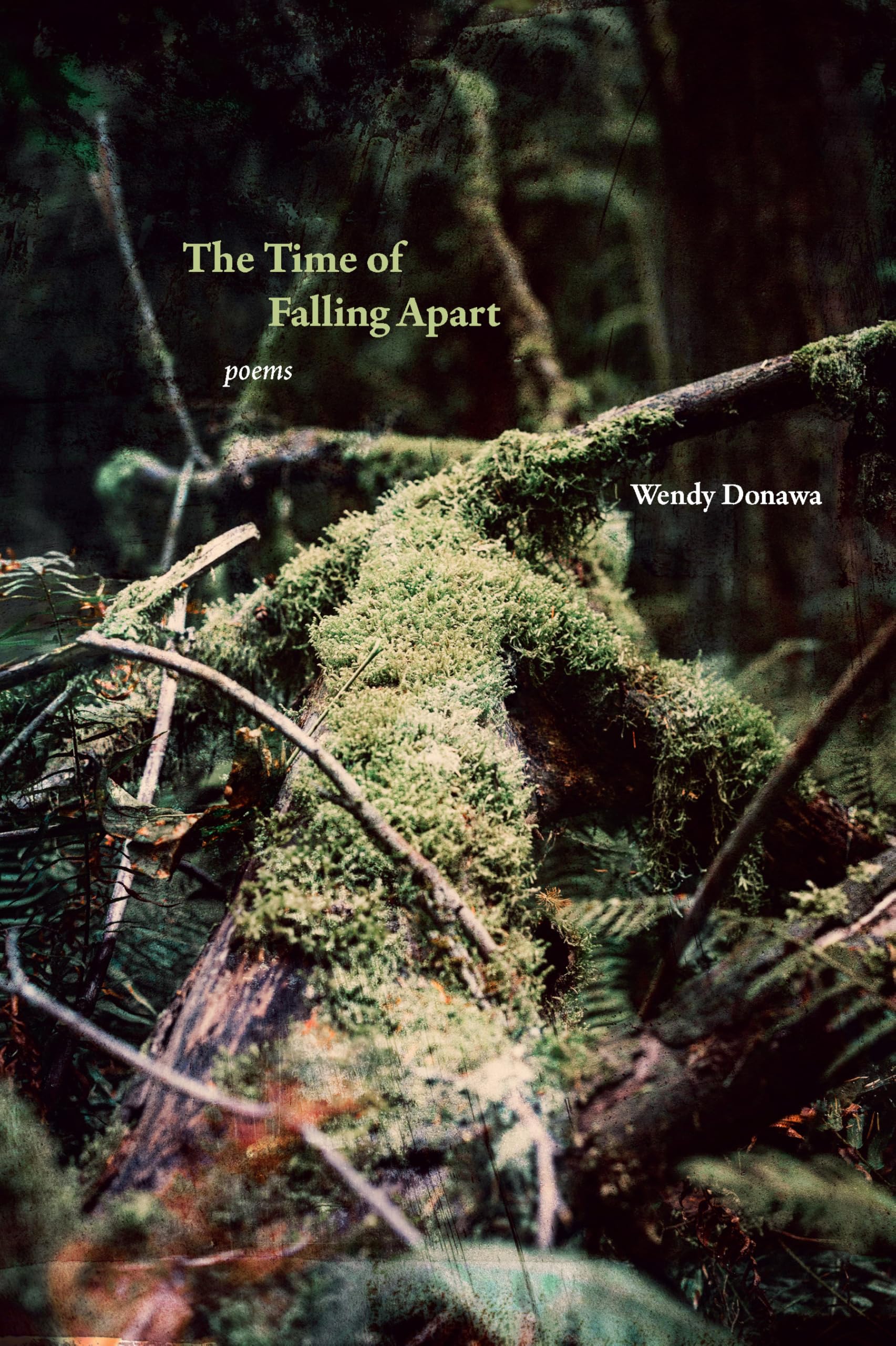 The Time Of Falling Apart: Poems
