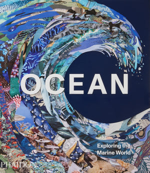 Ocean: Exploring the Marine World,Used