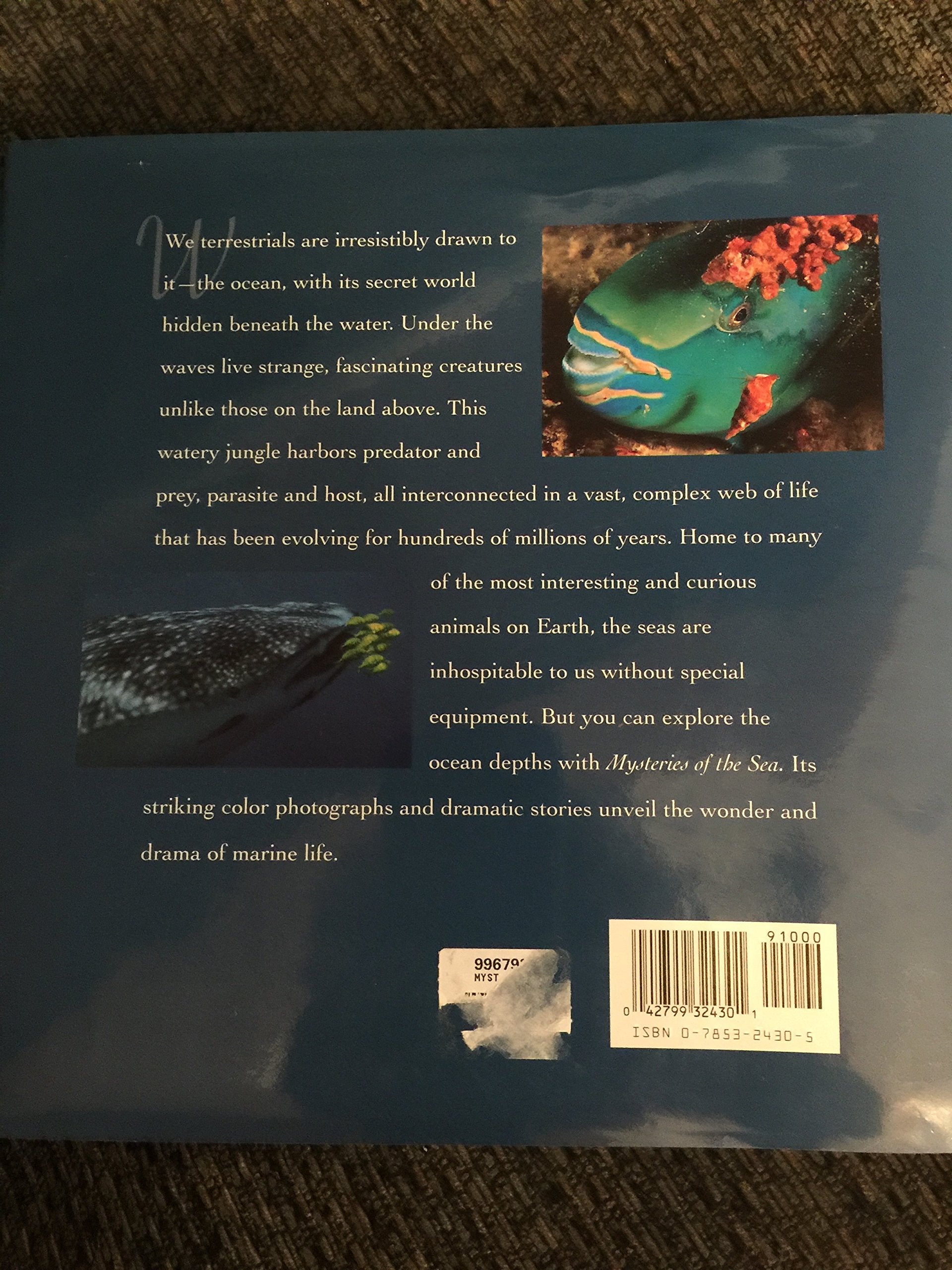 Mysteries of the sea,Used