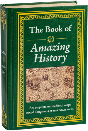 The Book Of Amazing History