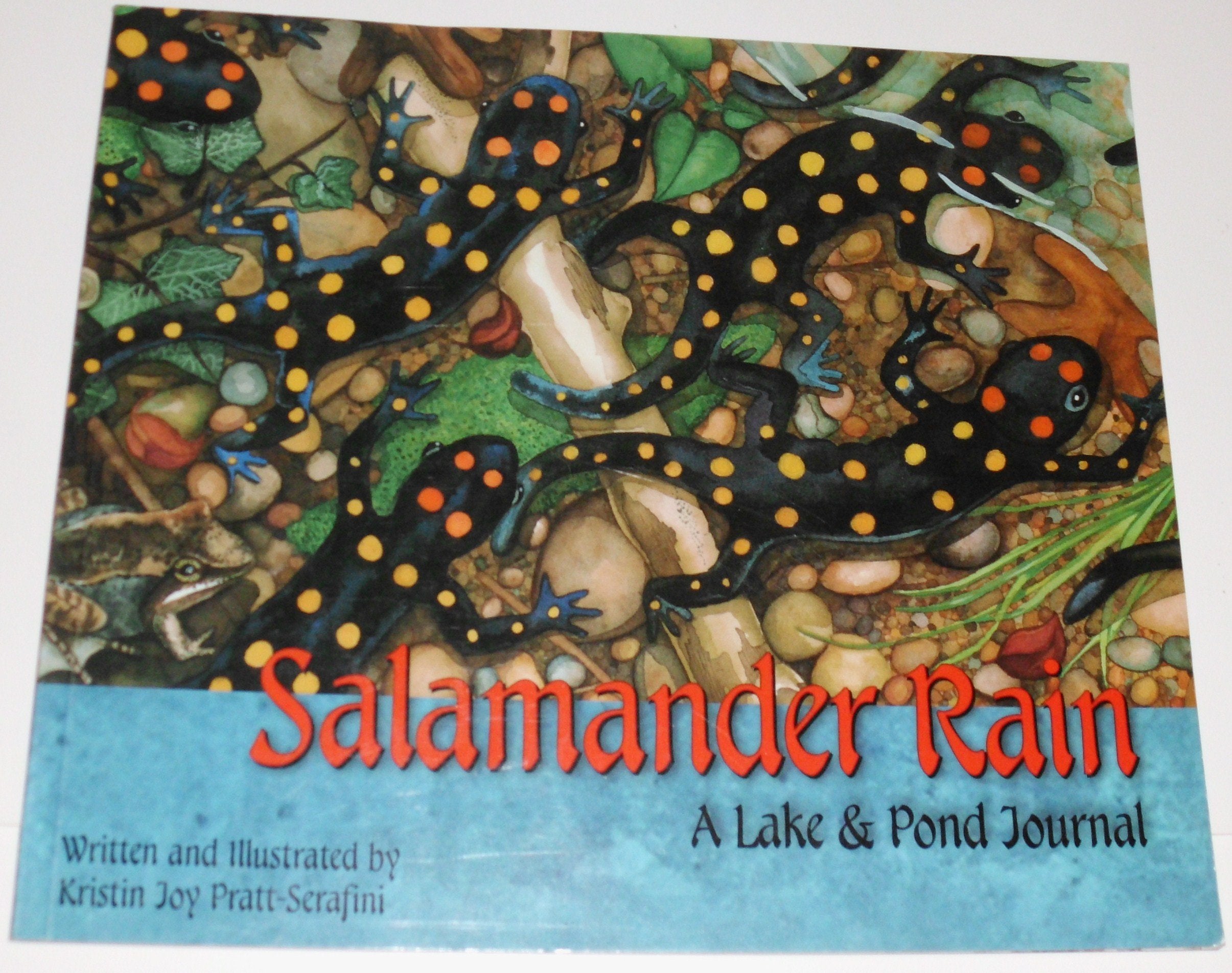 Salamander Rain: A Lake and Pond Journal (Sharing Nature With Children Book),Used