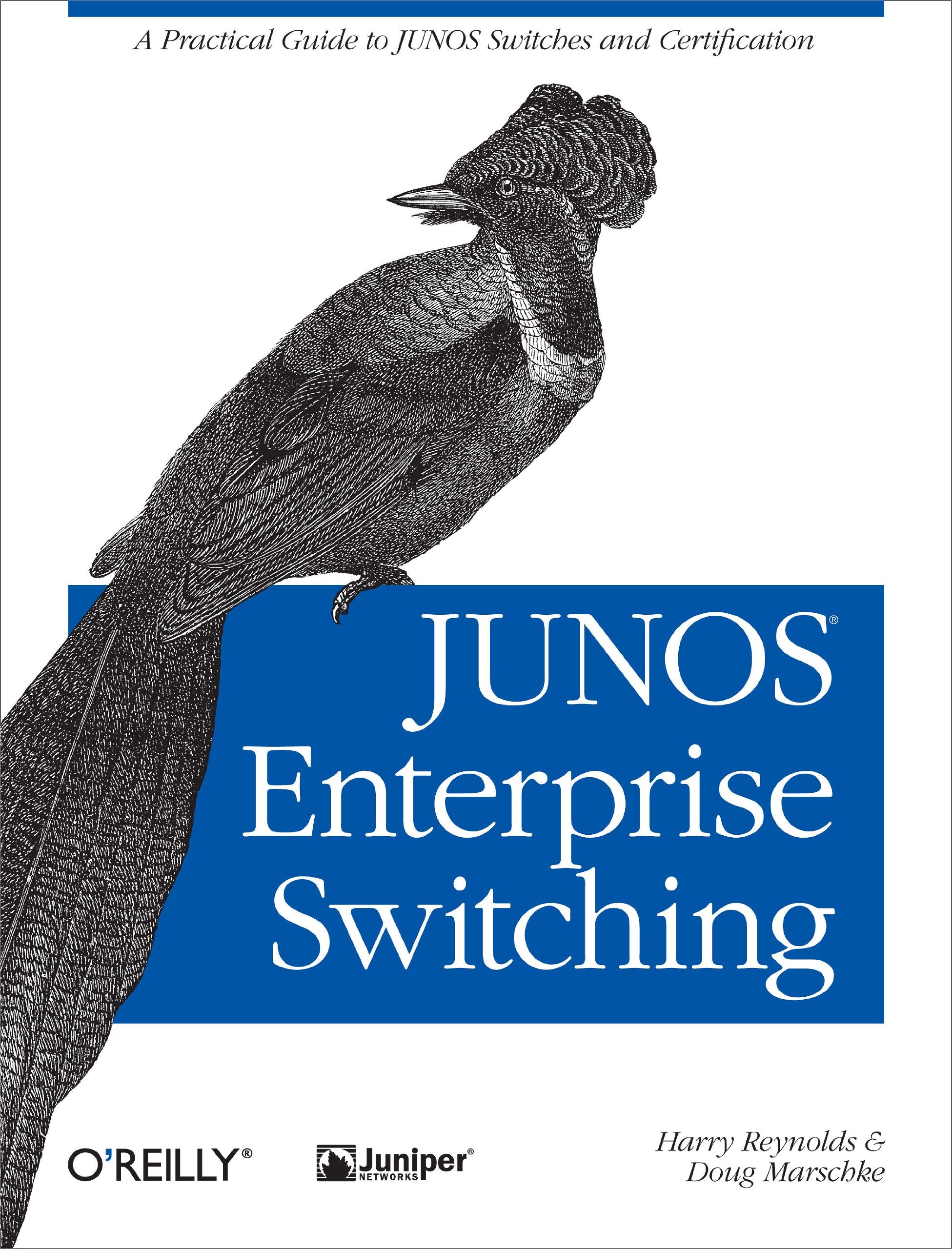 JUNOS Enterprise Switching: A Practical Guide to JUNOS Switches and Certification,New