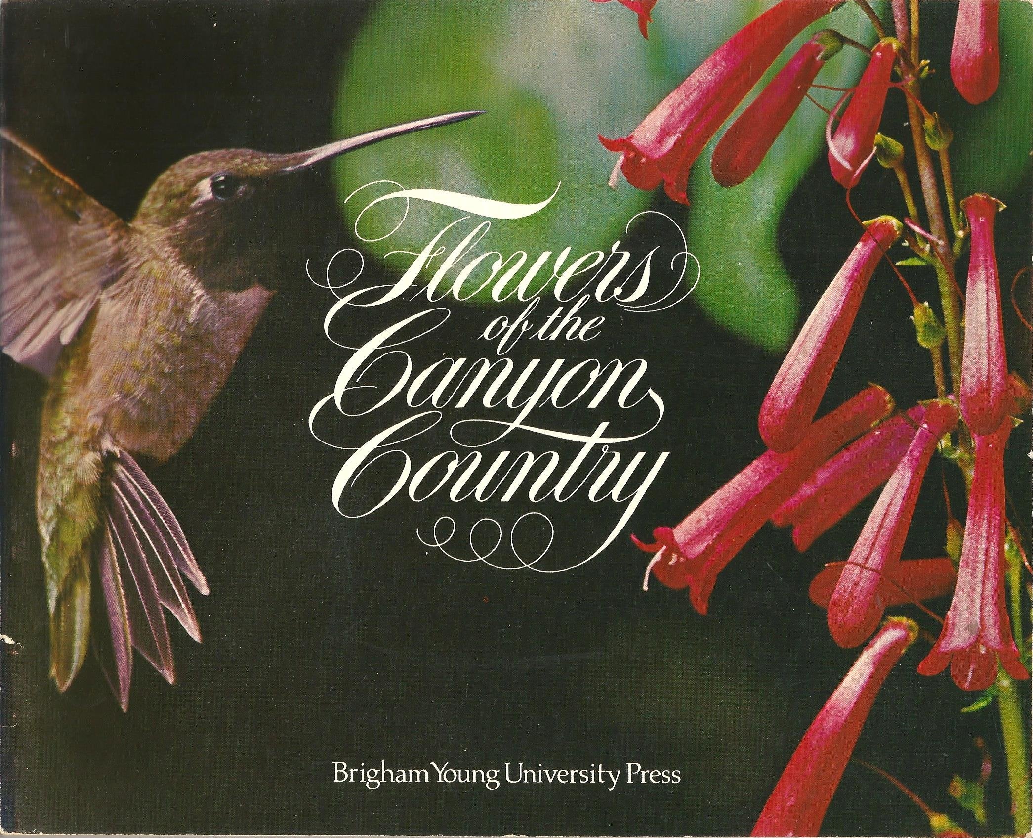Flowers of the canyon country,Used