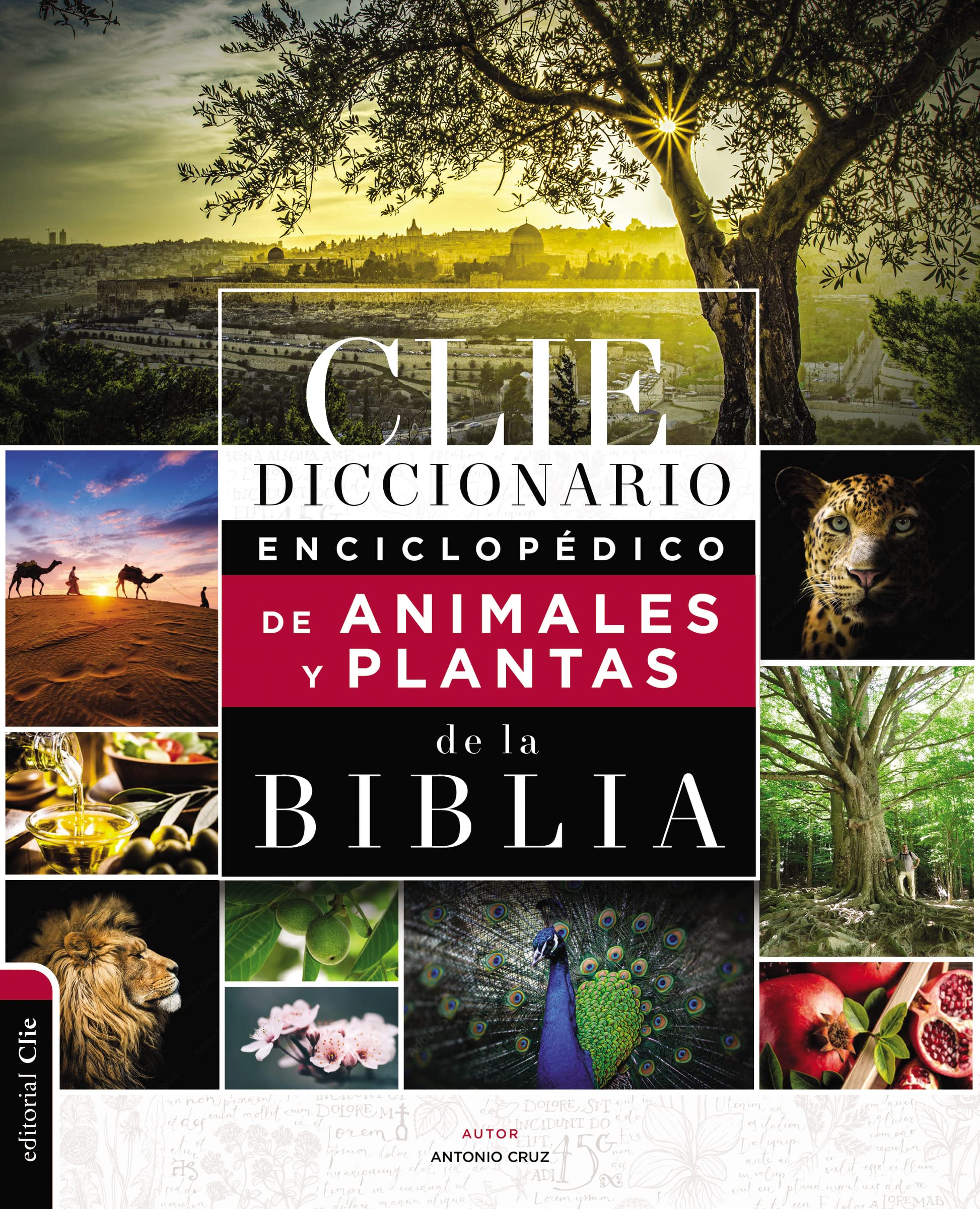 Diccionario Enciclopdico de Animales y Plantas de la Biblia (Spanish Edition),New