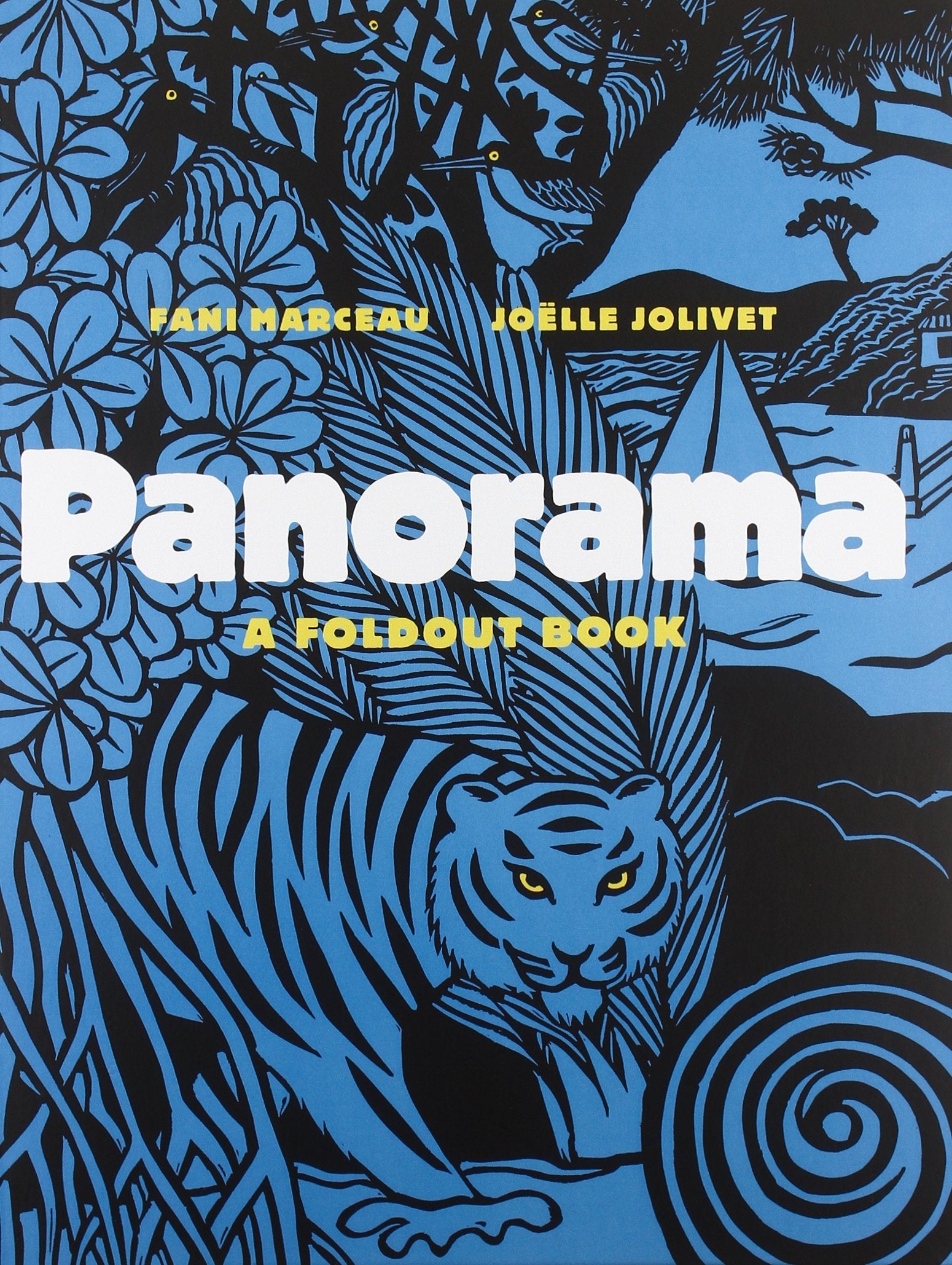 Panorama: A Foldout Book,Used
