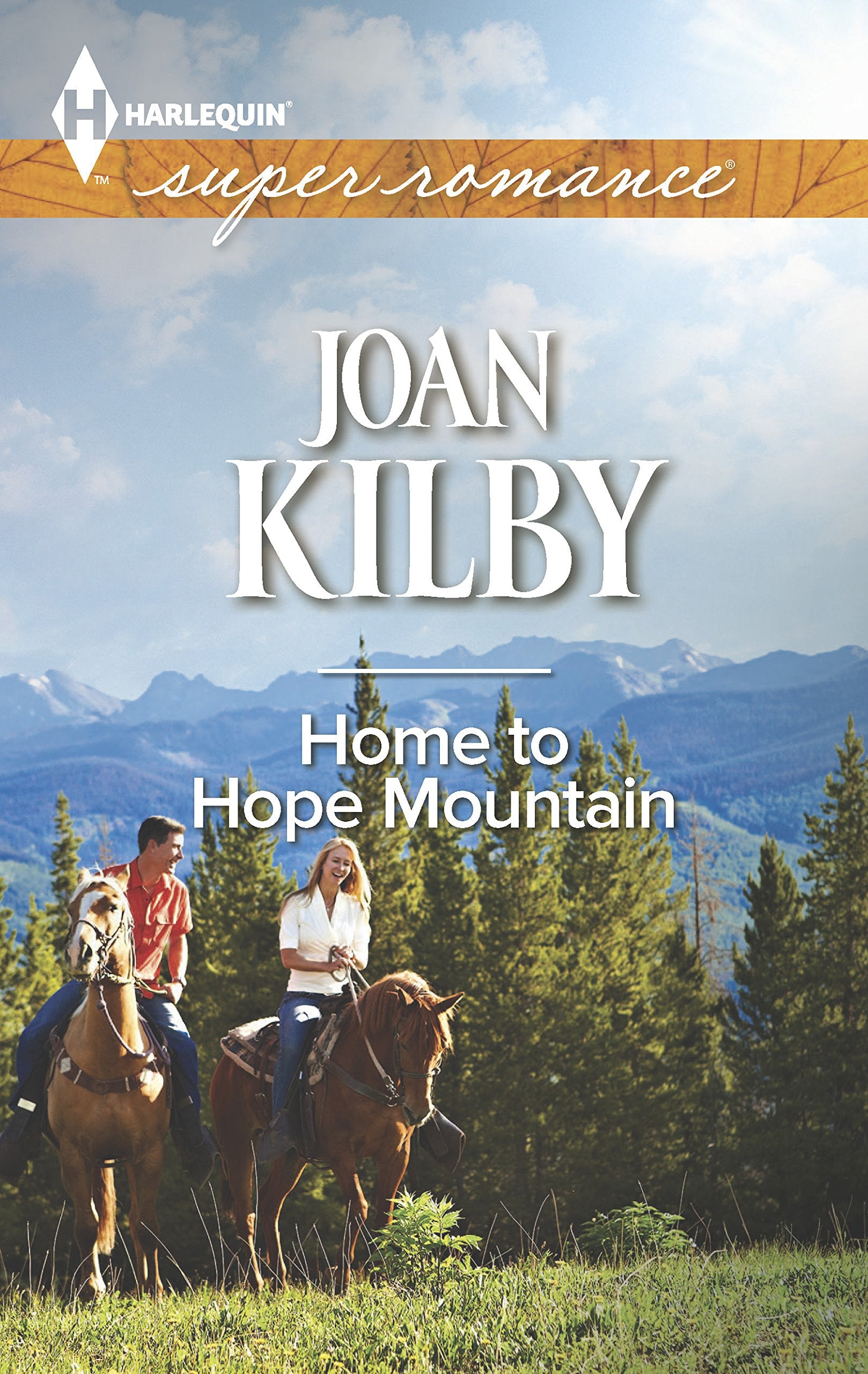 Home to Hope Mountain (Harlequin Superromance),Used