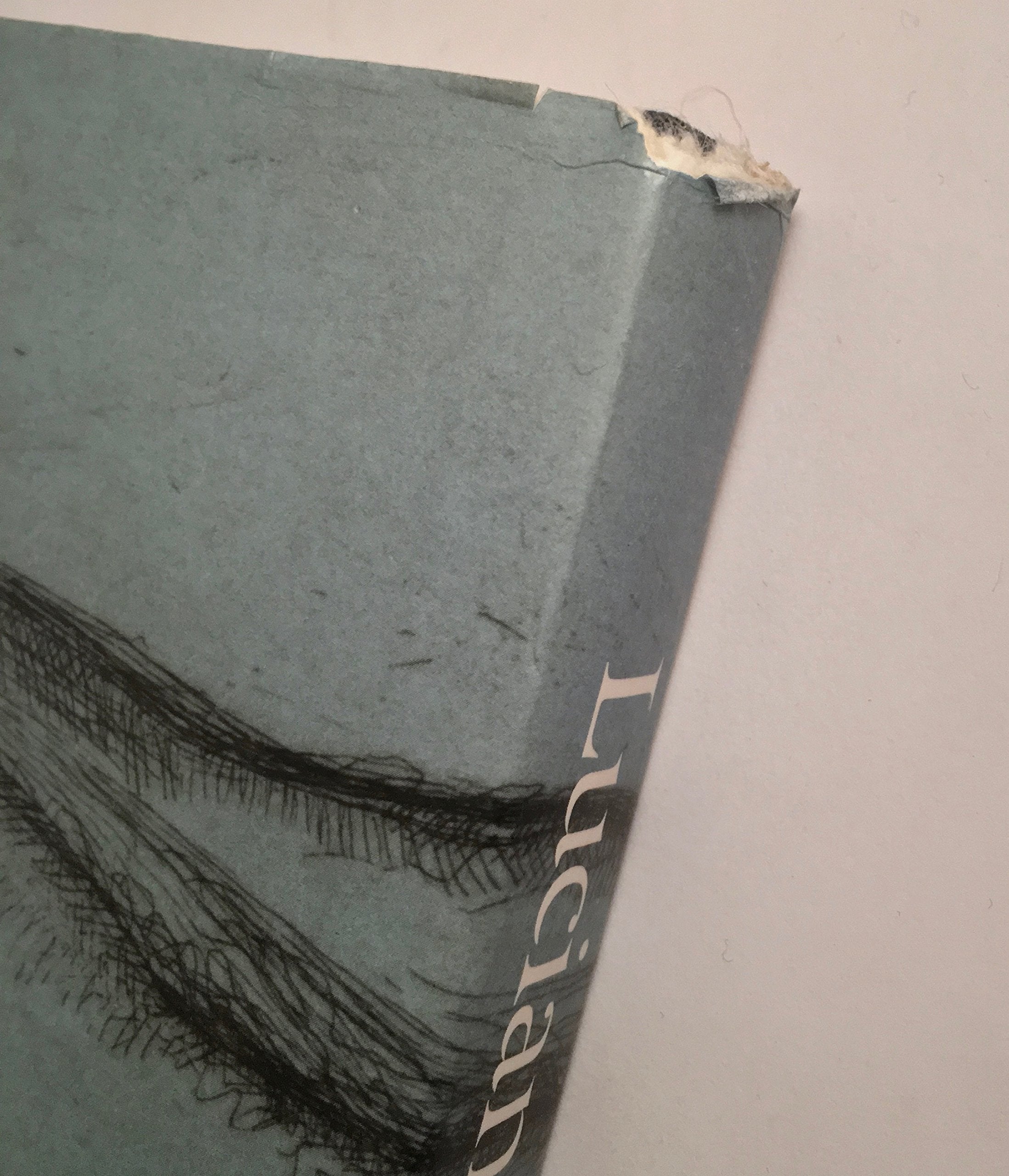 Lucian Freud: The Painter'S Etchings