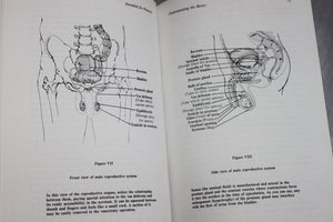 Intended for Pleasure: Sex Technique and Sexual Fulfillment in Christian Marriage,Used