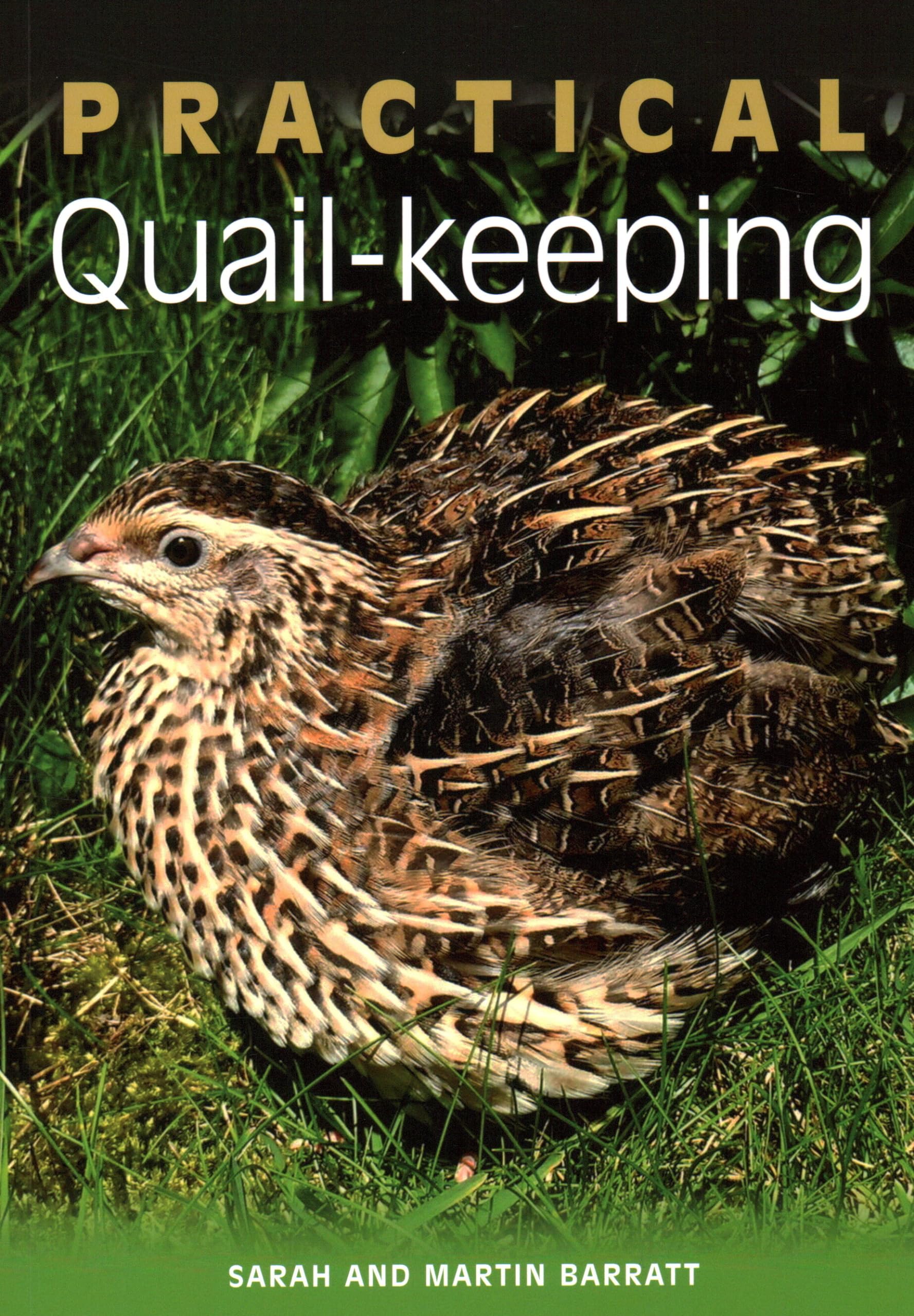 Practical Quailkeeping,Used