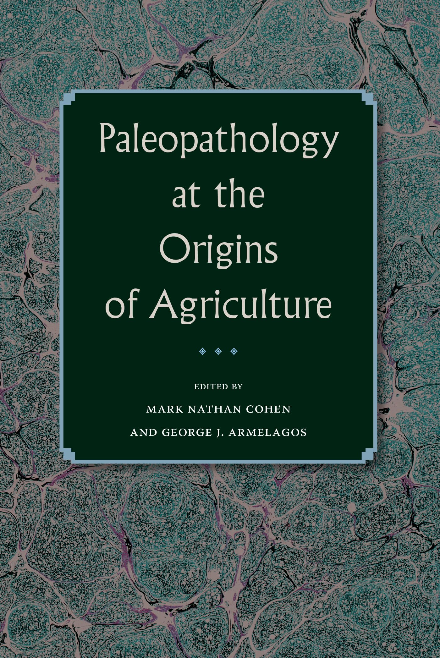 Paleopathology At The Origins Of Agriculture (Bioarchaeological Interpretations Of The Human Past: Local, Regional, And Global),Used