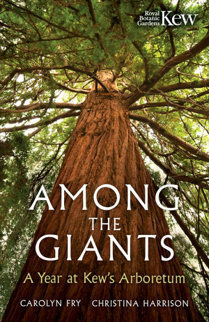 Among the Giants: Life in the Trees at Kew