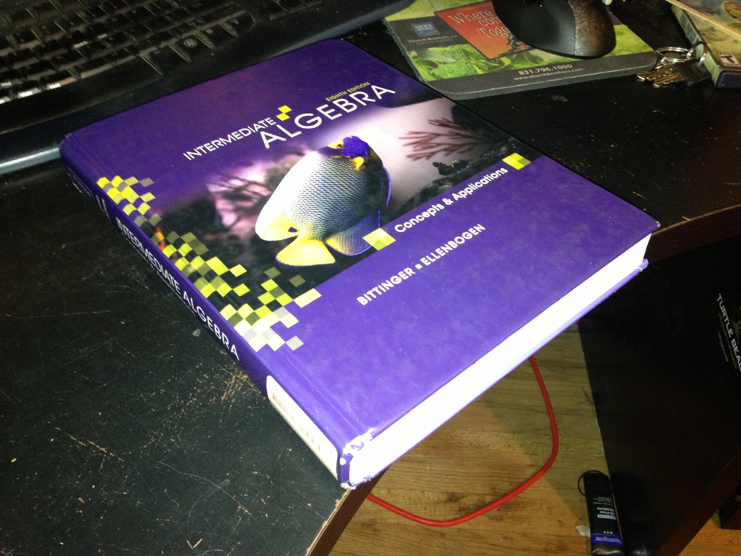 Intermediate Algebra: Concepts and Applications (8th Edition),Used