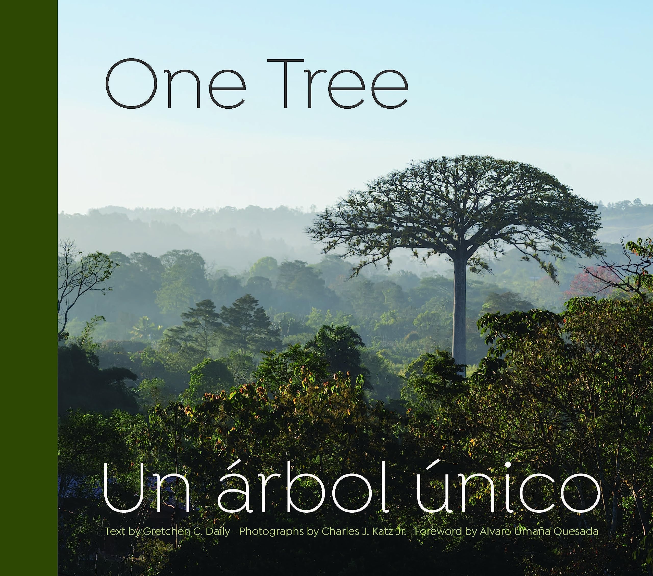 One Tree,Used