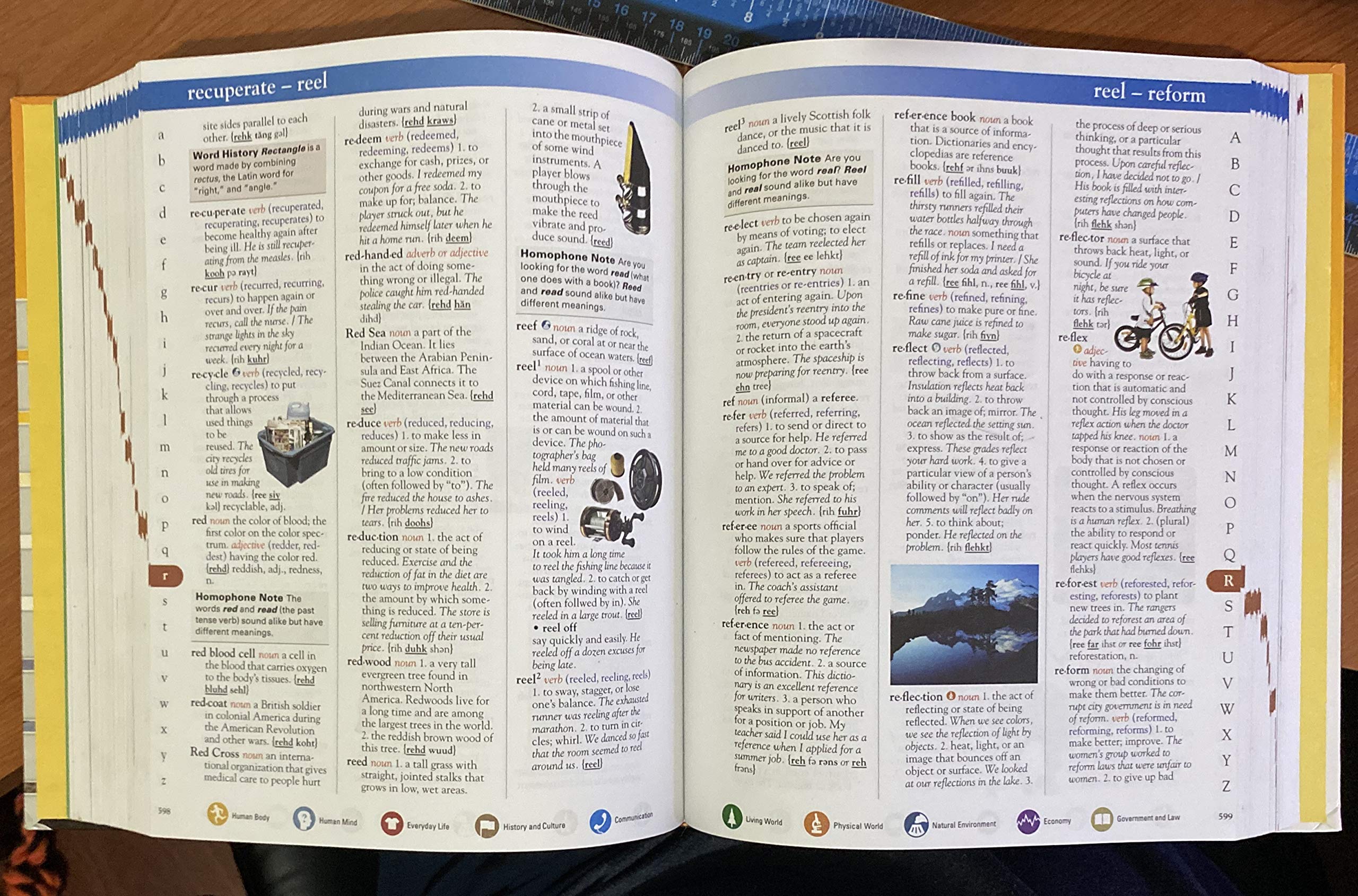 Dictionary, Grades 3  6 (The Wordsmyth Reference Series),Used