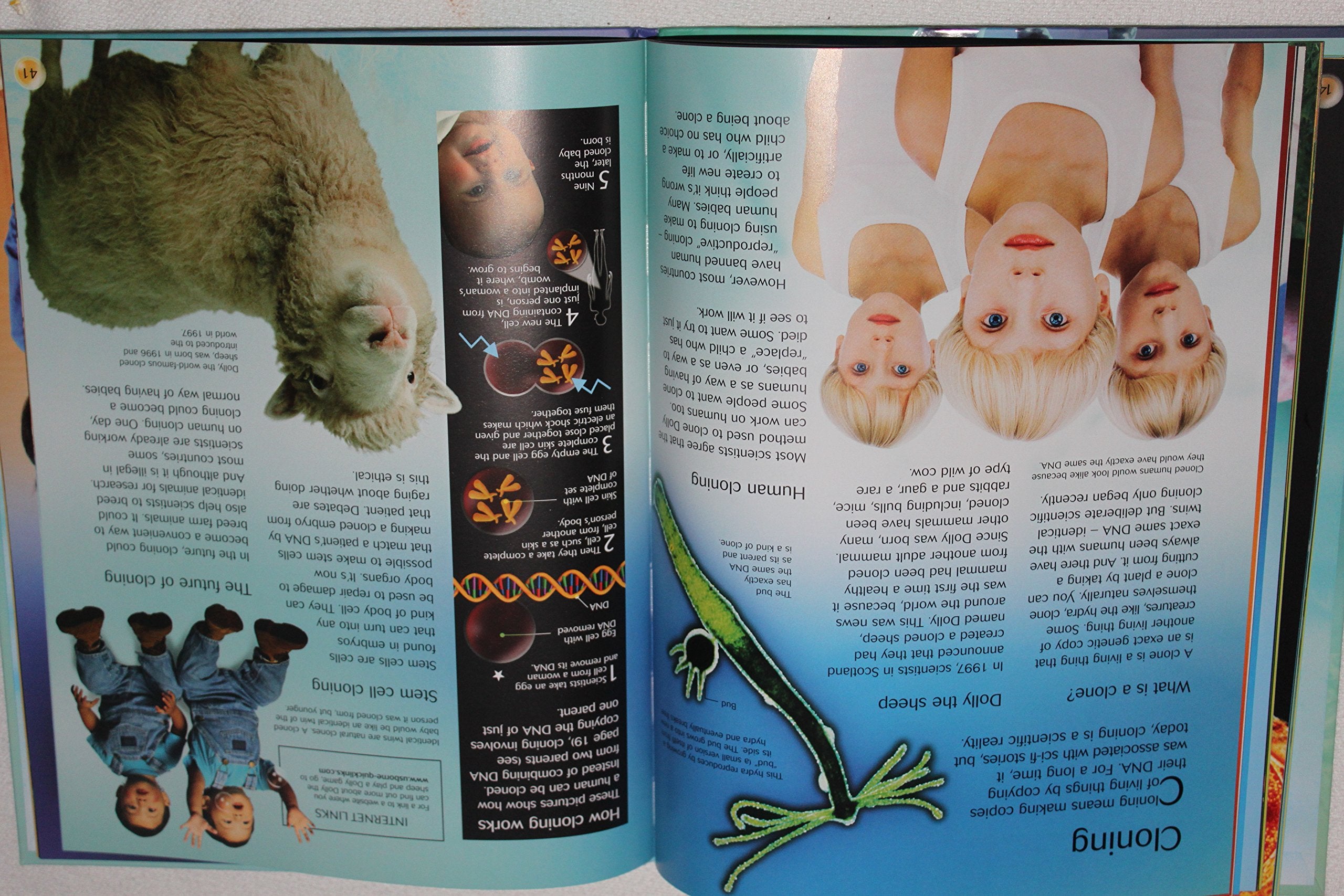 The Usborne Introduction To Genes & DNA: Internet Linked (Usborne Introductions),New