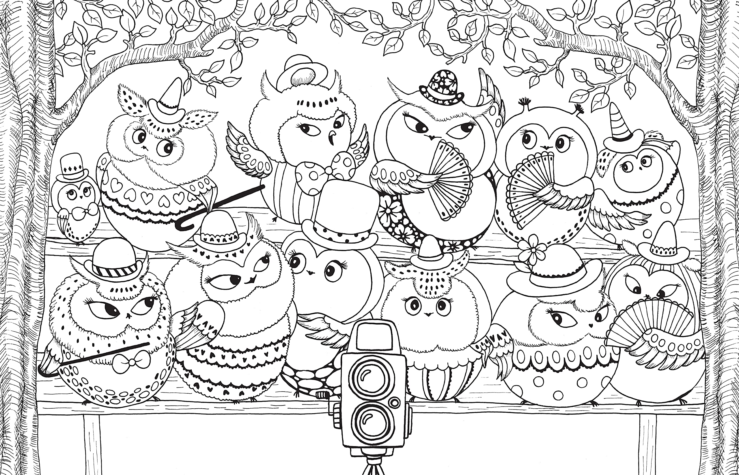 A Million Owls: Fine Feathered Friends To Color (Volume 5) (A Million Creatures To Color) (Volume 4)