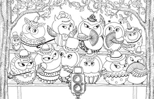 A Million Owls: Fine Feathered Friends To Color (Volume 5) (A Million Creatures To Color) (Volume 4)
