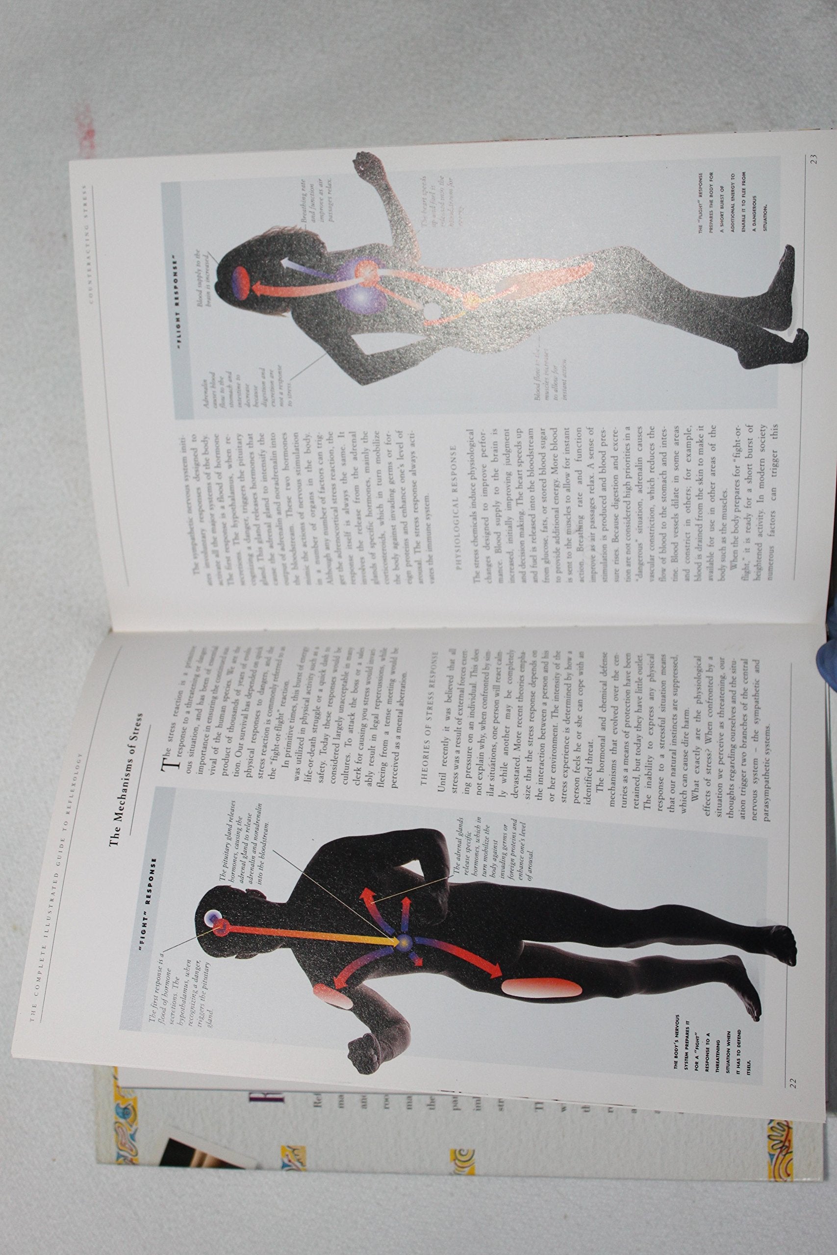 Complete Illustrated Guide To Reflexology: Therapeutic Foot Massage For Health And Wellbeing,New
