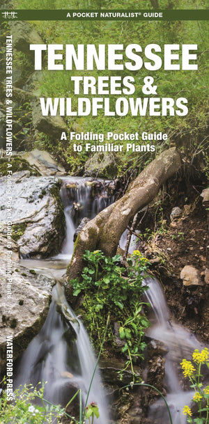 Tennessee Trees & Wildflowers: A Folding Pocket Guide to Familiar Plants (Wildlife and Nature Identification),Used