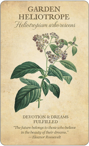 Botanical Inspirations Deck & Book Set,New