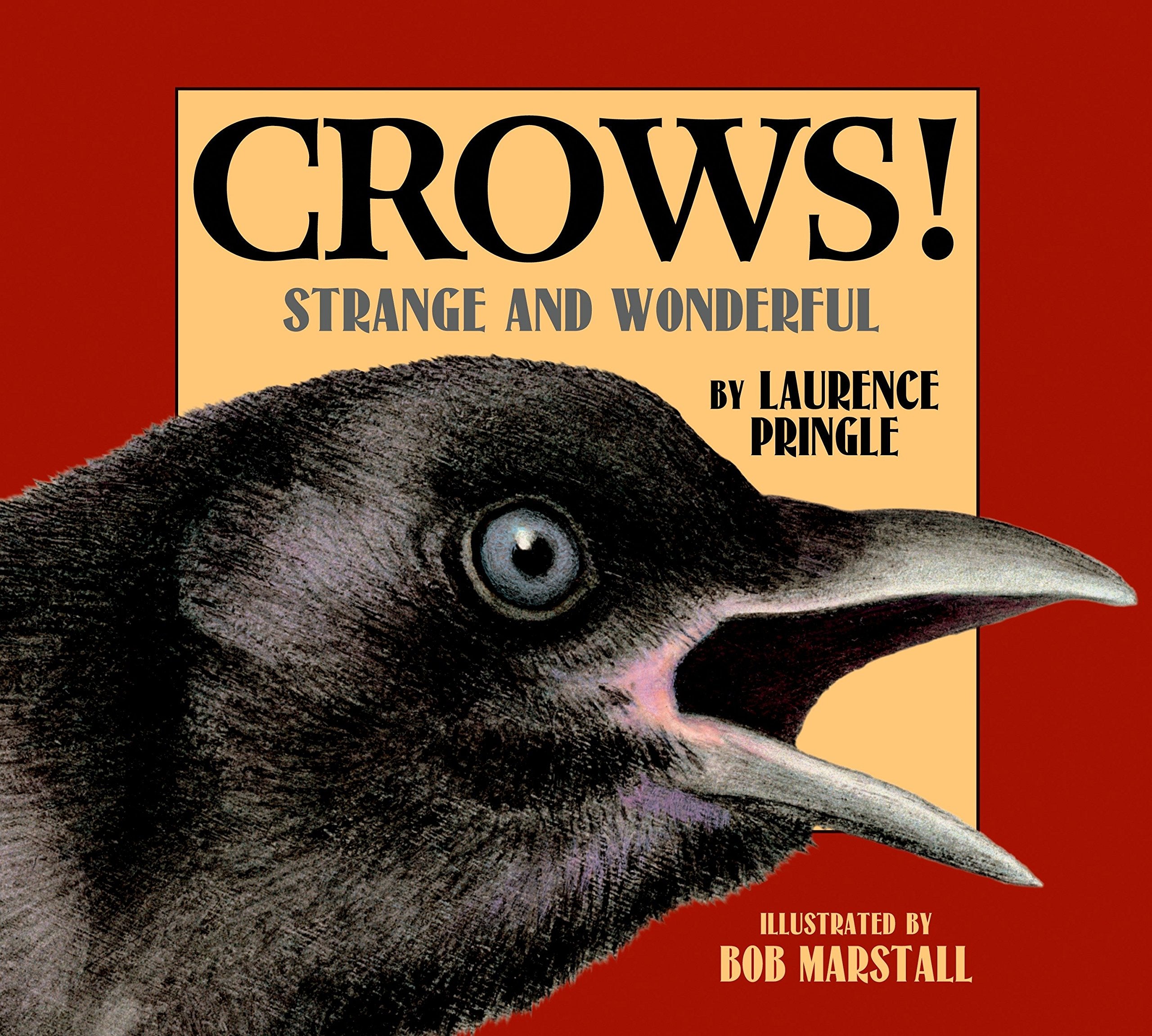 Crows!: Strange and Wonderful,New