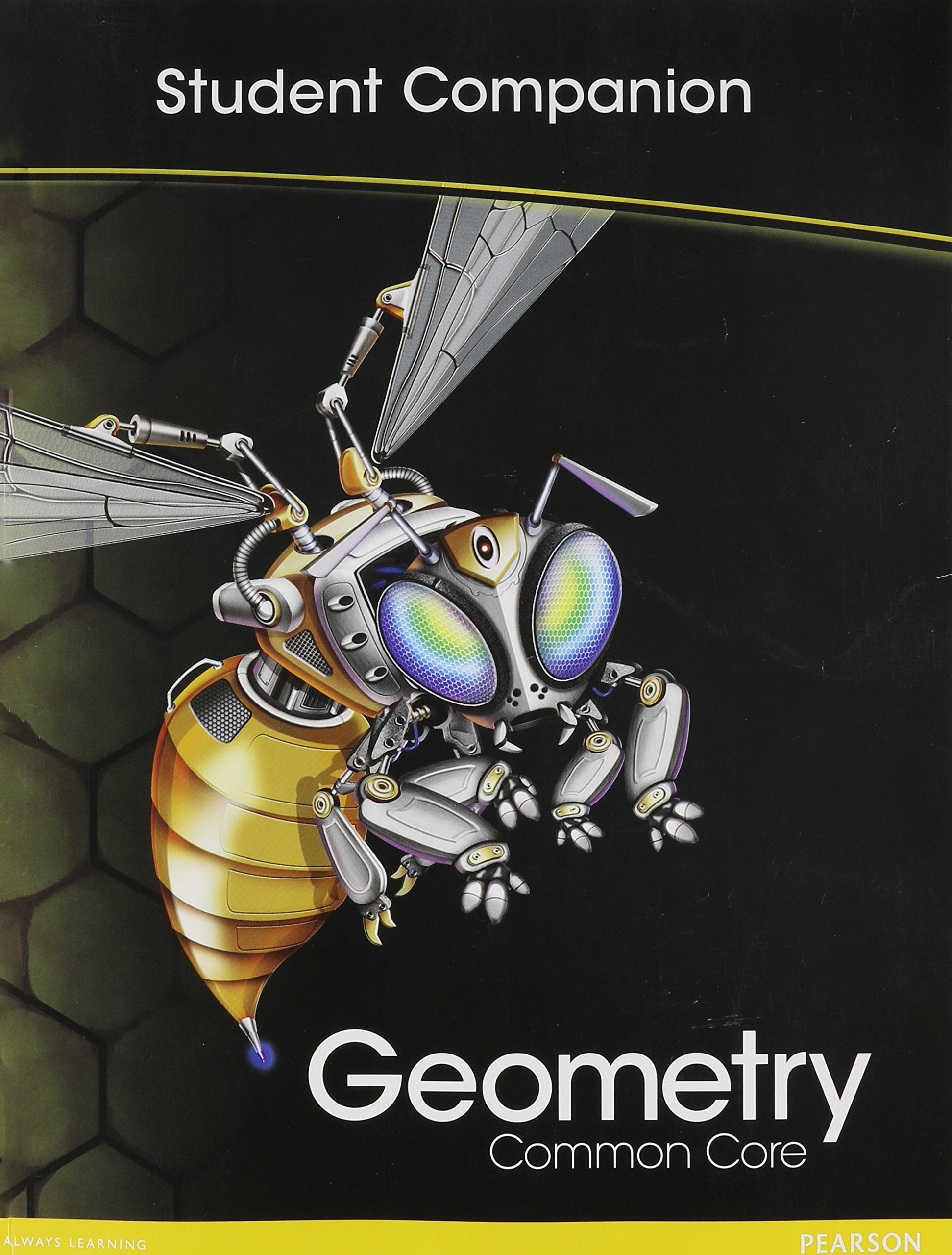 High School Math CommonCore Geometry Student Companion Book Grade 9/10,Used