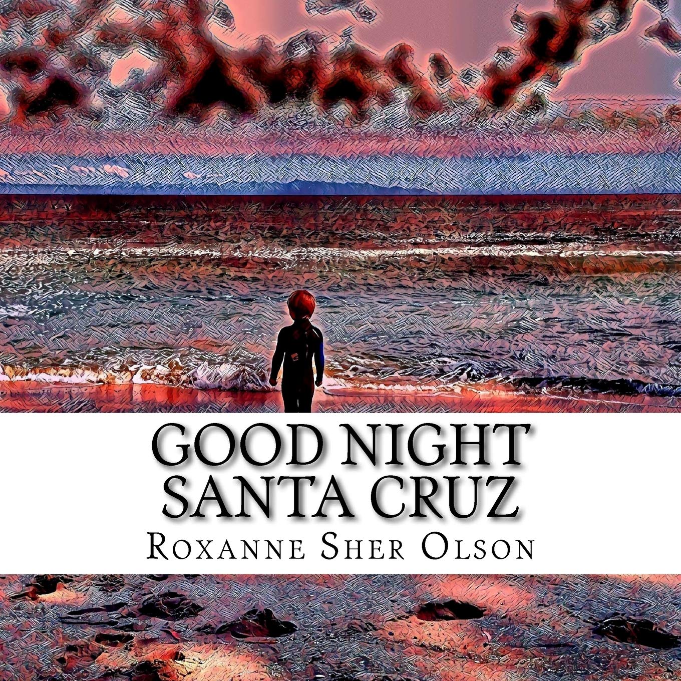 Good Night Santa Cruz,Used