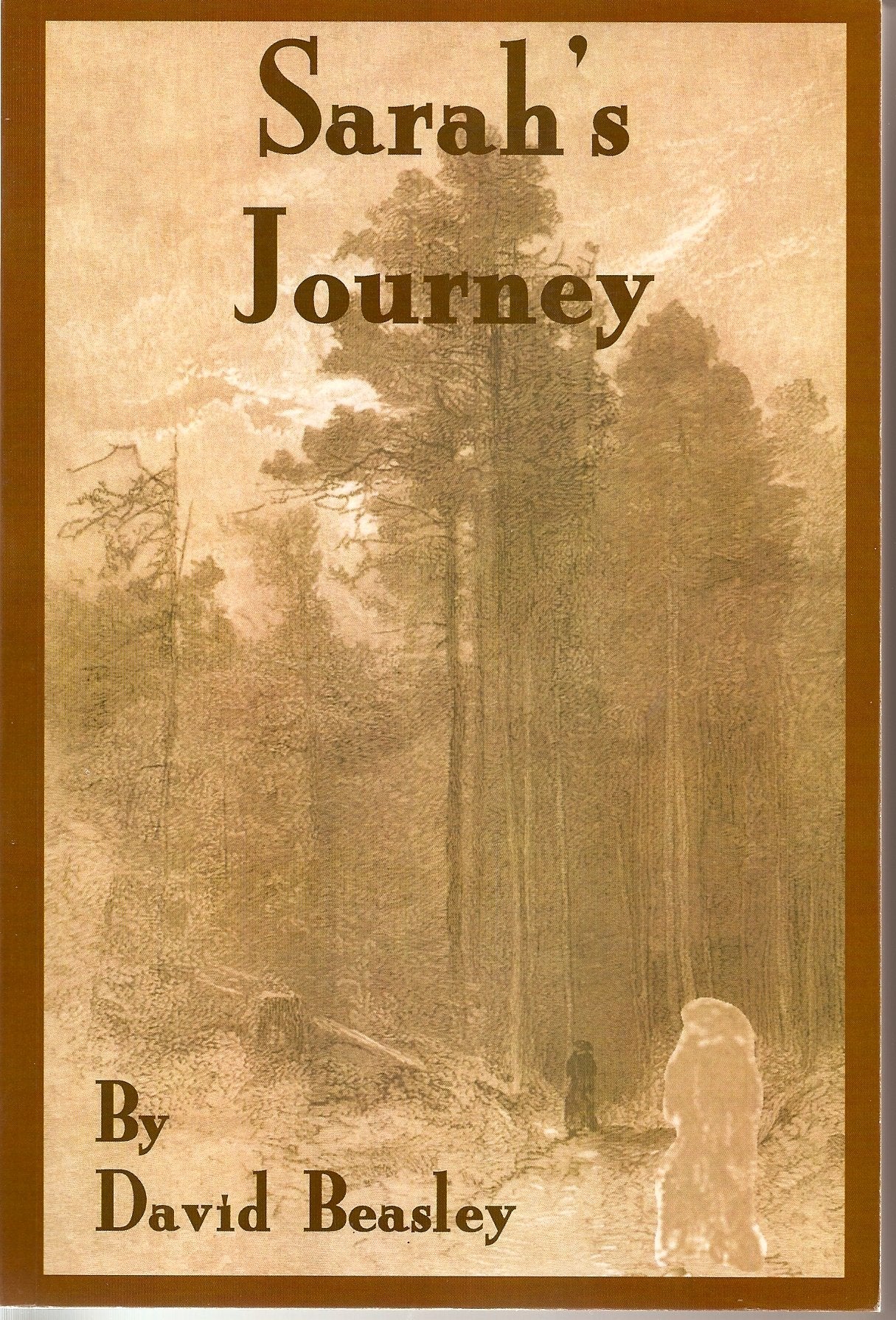 Sarah's Journey,Used