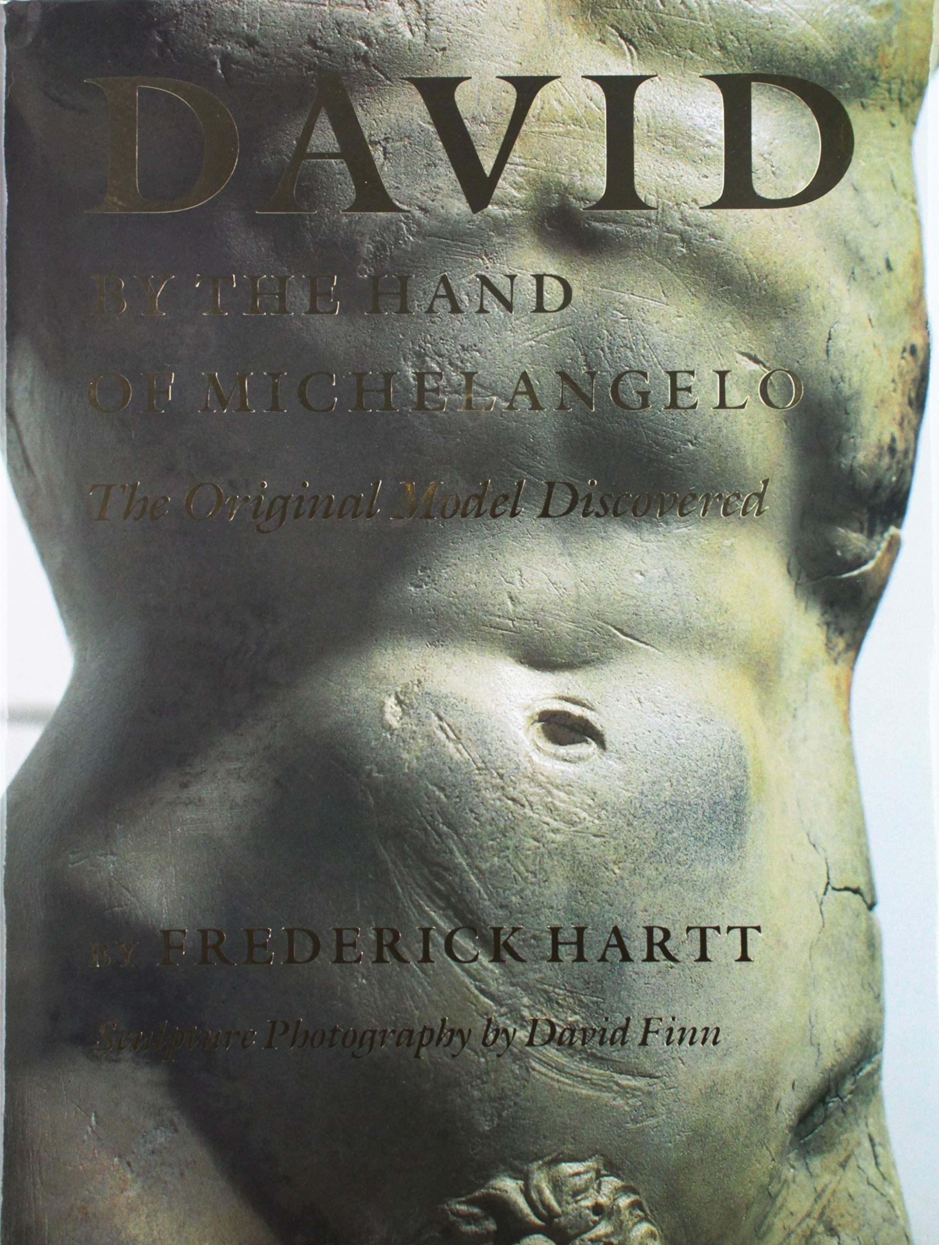 David by the Hand of Michelangelo,Used
