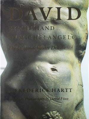 David by the Hand of Michelangelo,Used