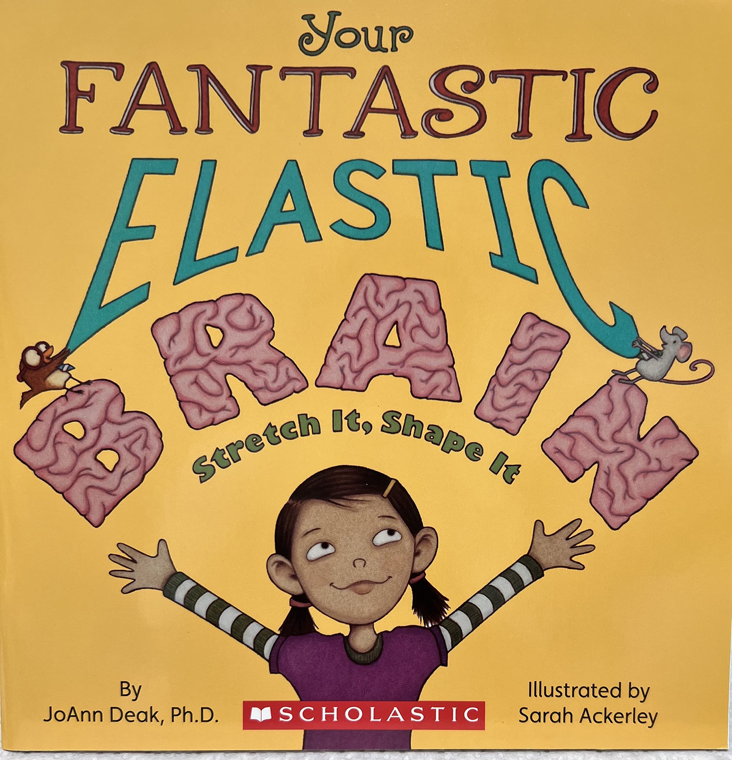 Your Fantastic Elastic Brain