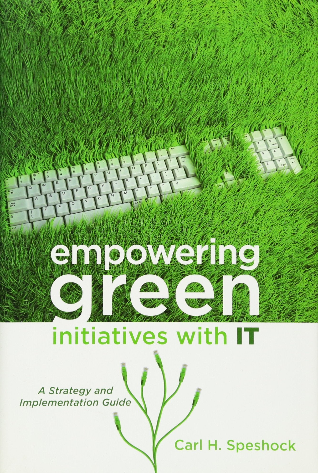 Empowering Green Initiatives with IT: A Strategy and Implementation Guide,Used