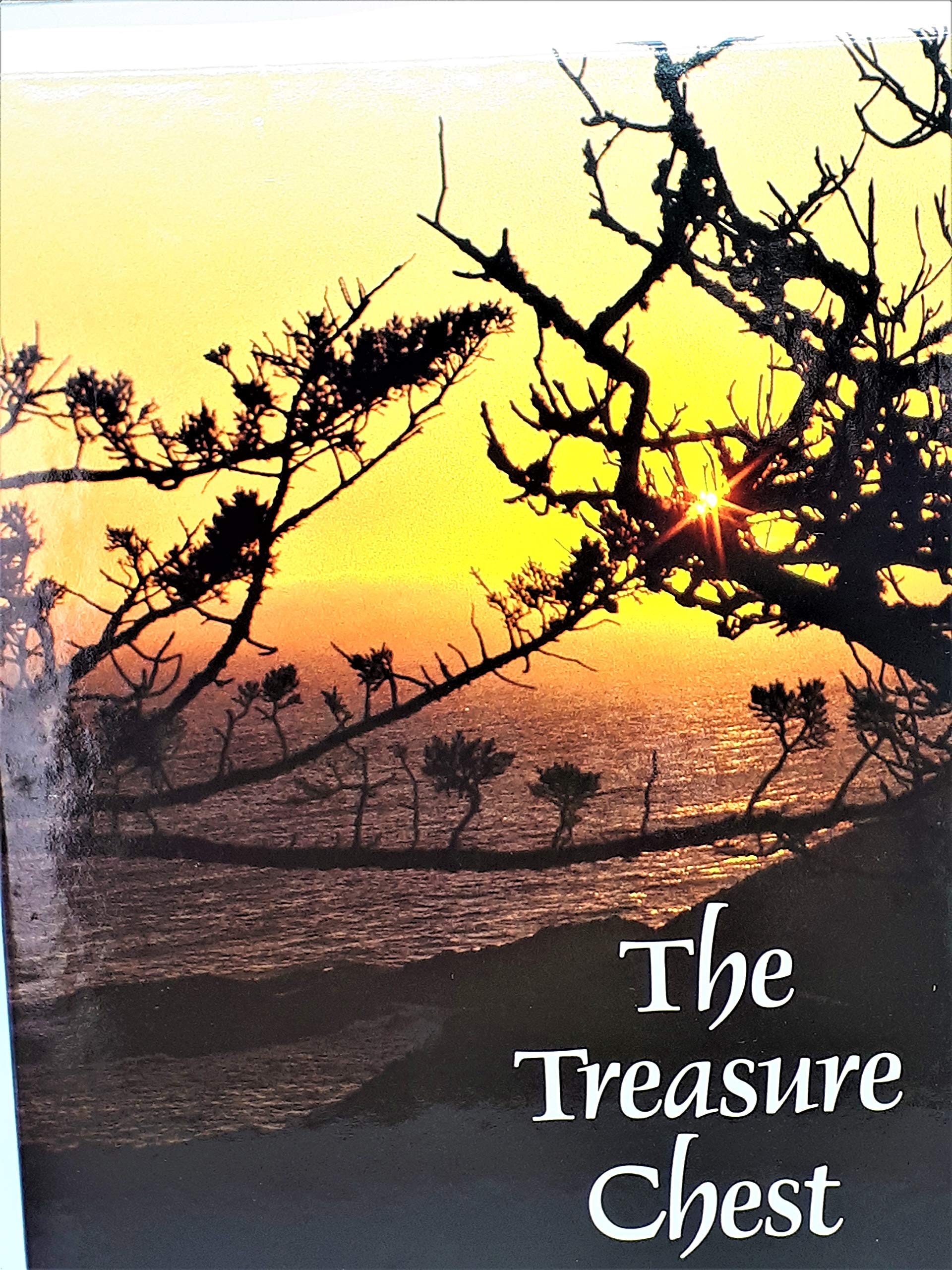 The Treasure Chest: A Heritage Album Containing 1064 Familiar and Inspirational Quotations, Poems, Sentiments, and Prayers from ,Used