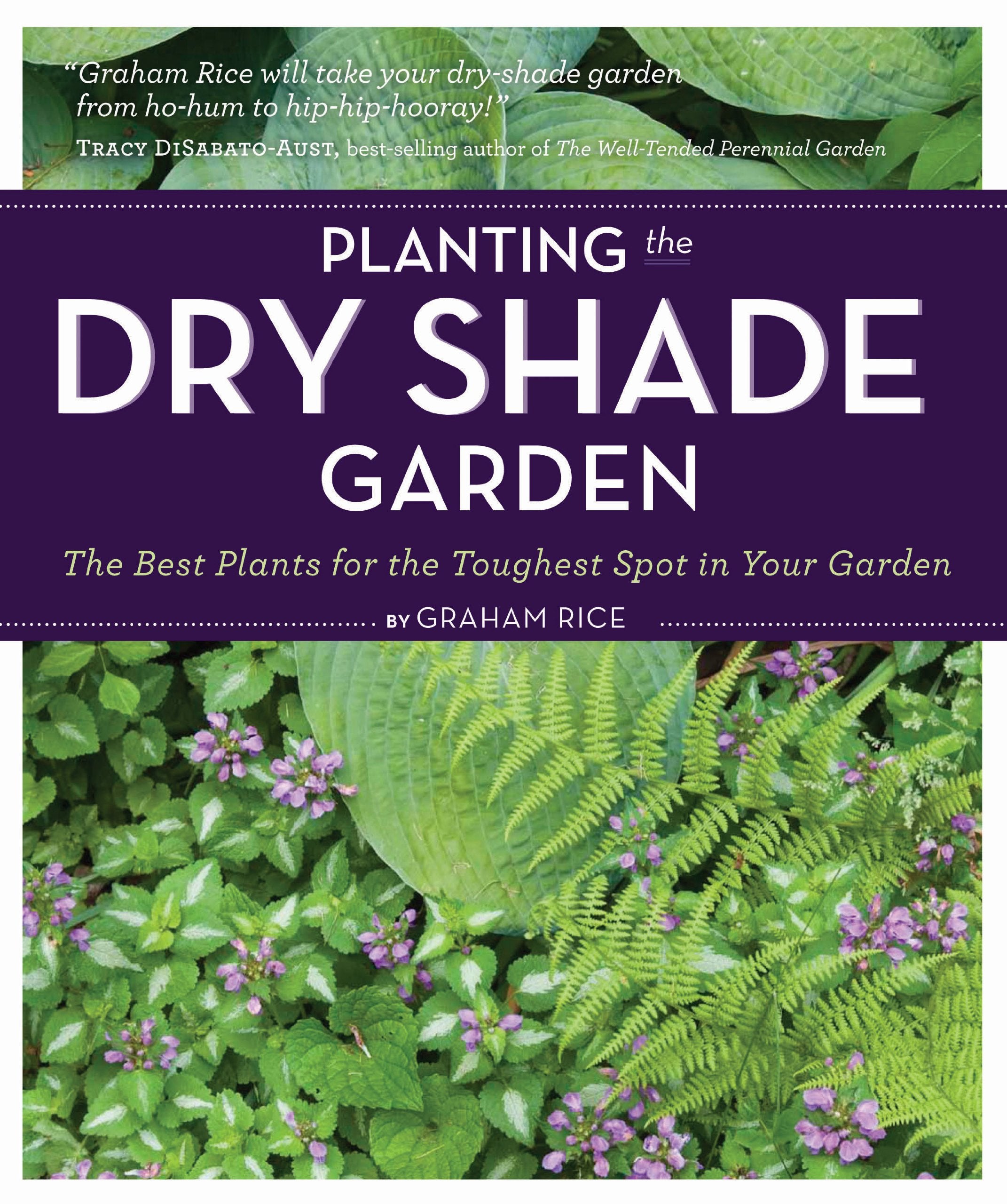 Planting The Dry Shade Garden: The Best Plants For The Toughest Spot In Your Garden