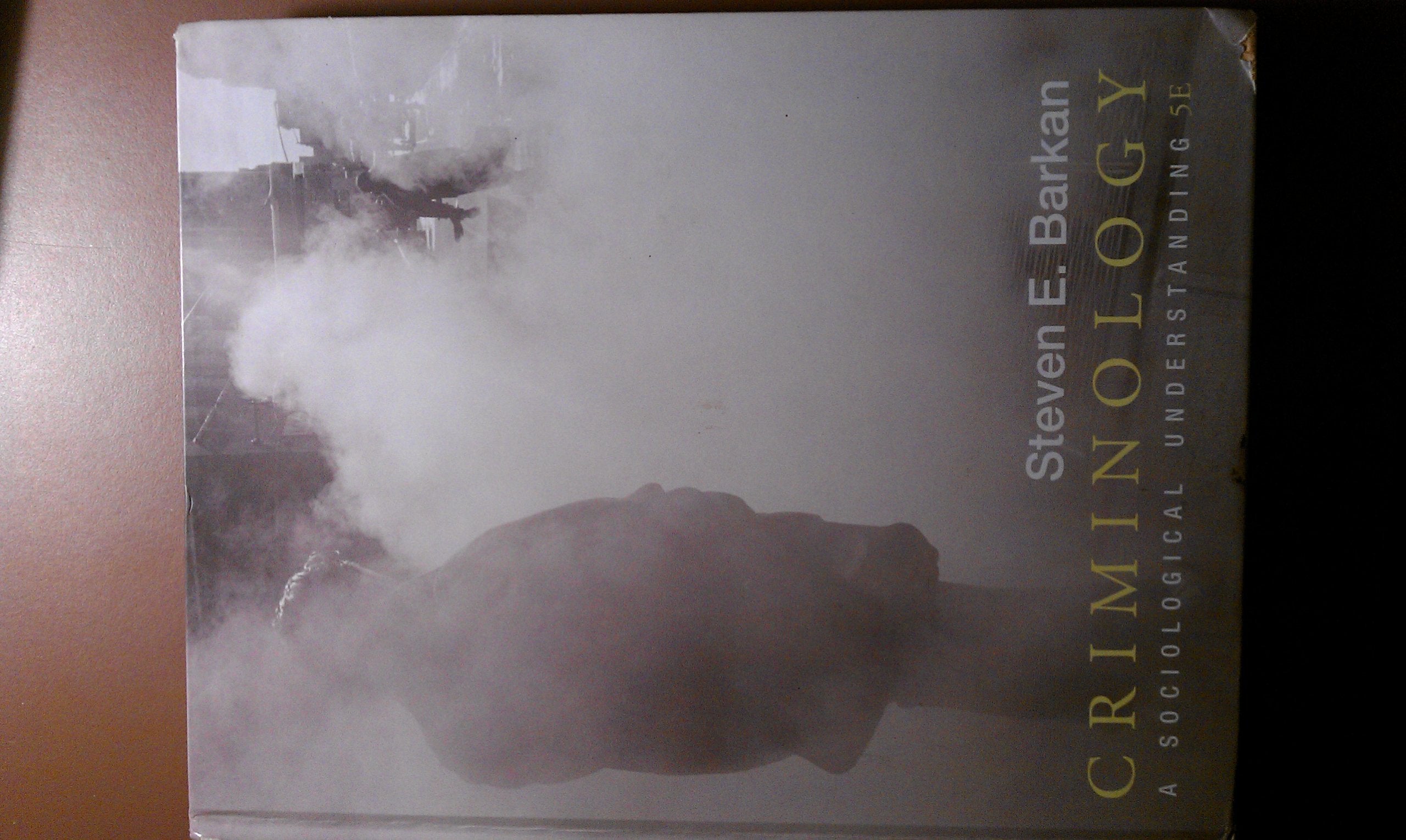 Criminology: A Sociological Understanding (5th Edition),Used
