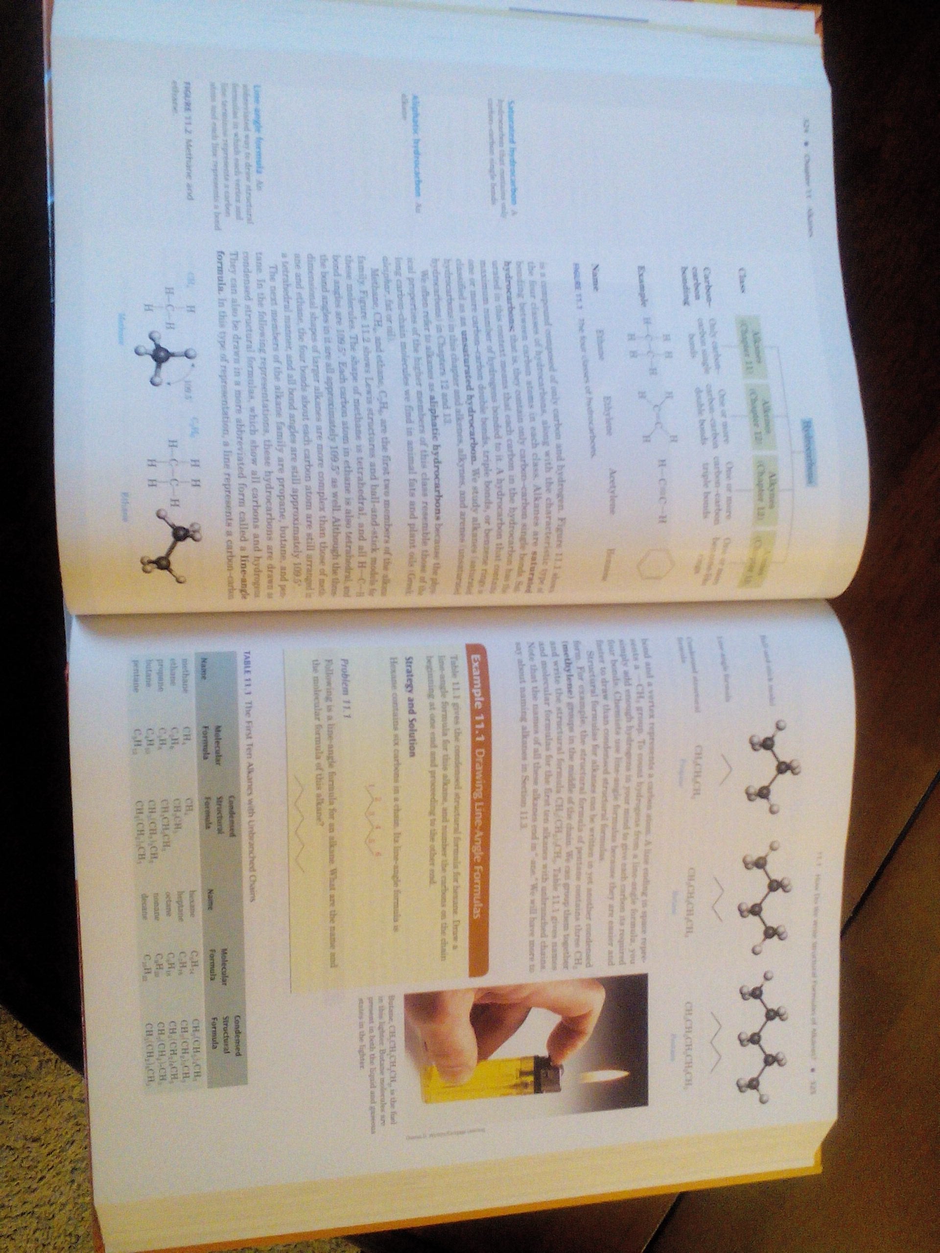 Introduction to General, Organic and Biochemistry,New