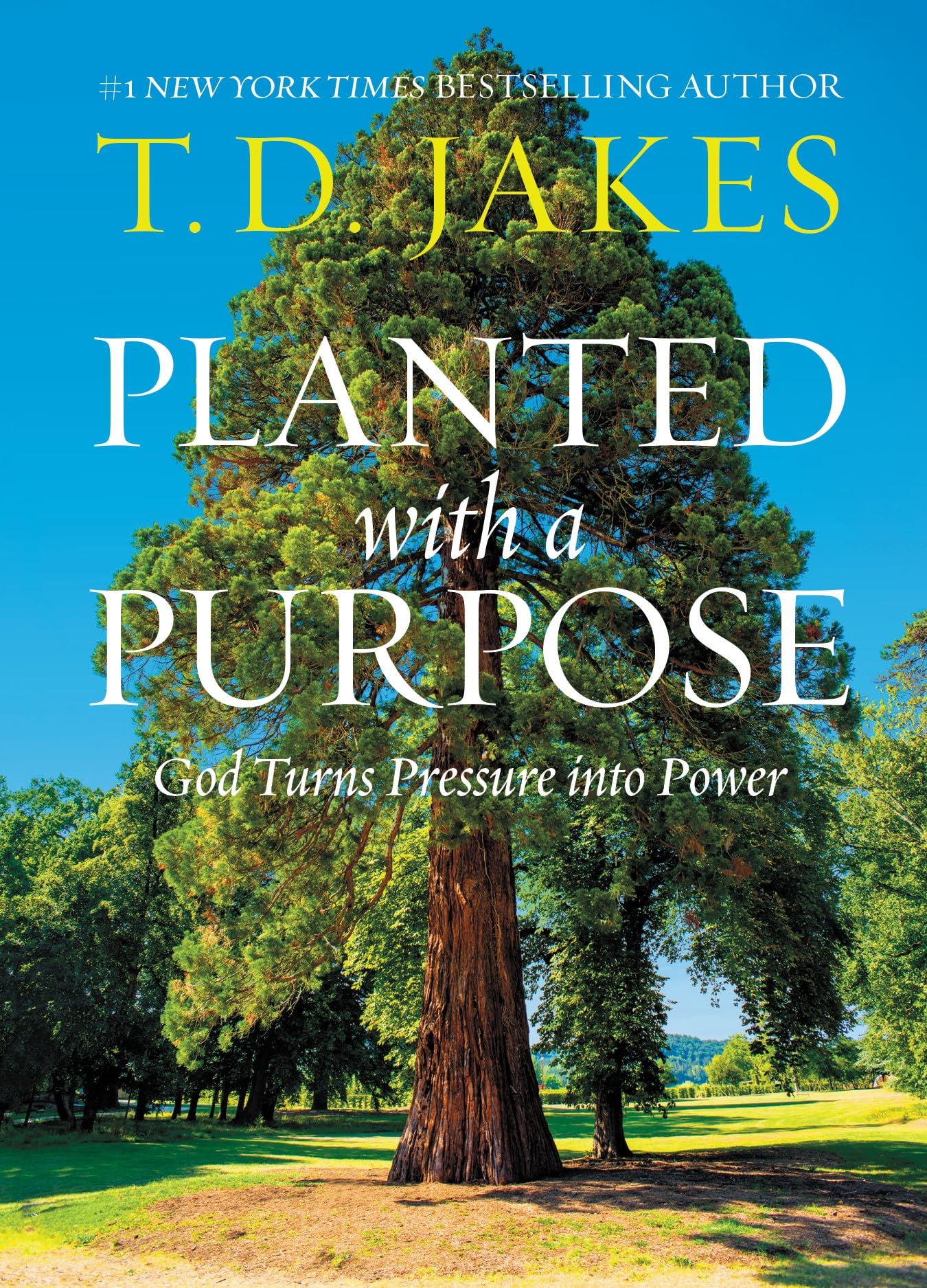 Planted With A Purpose: God Turns Pressure Into Power,New
