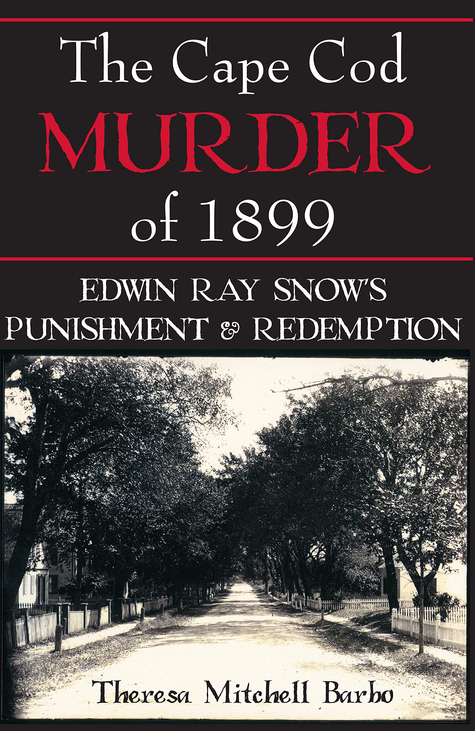The Cape Cod Murder of 1899: Edwin Ray Snow's Punishment & Redemption (True Crime),New