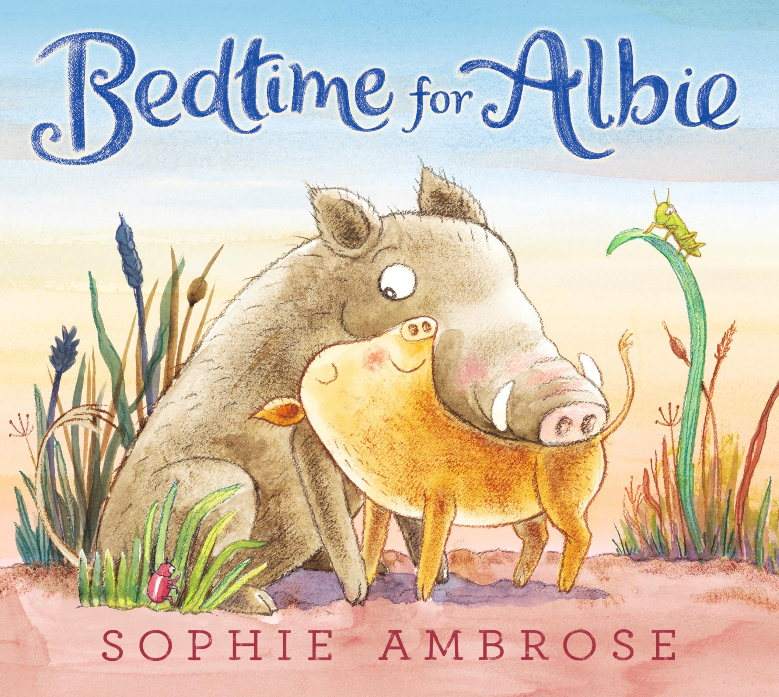 Bedtime for Albie,Used