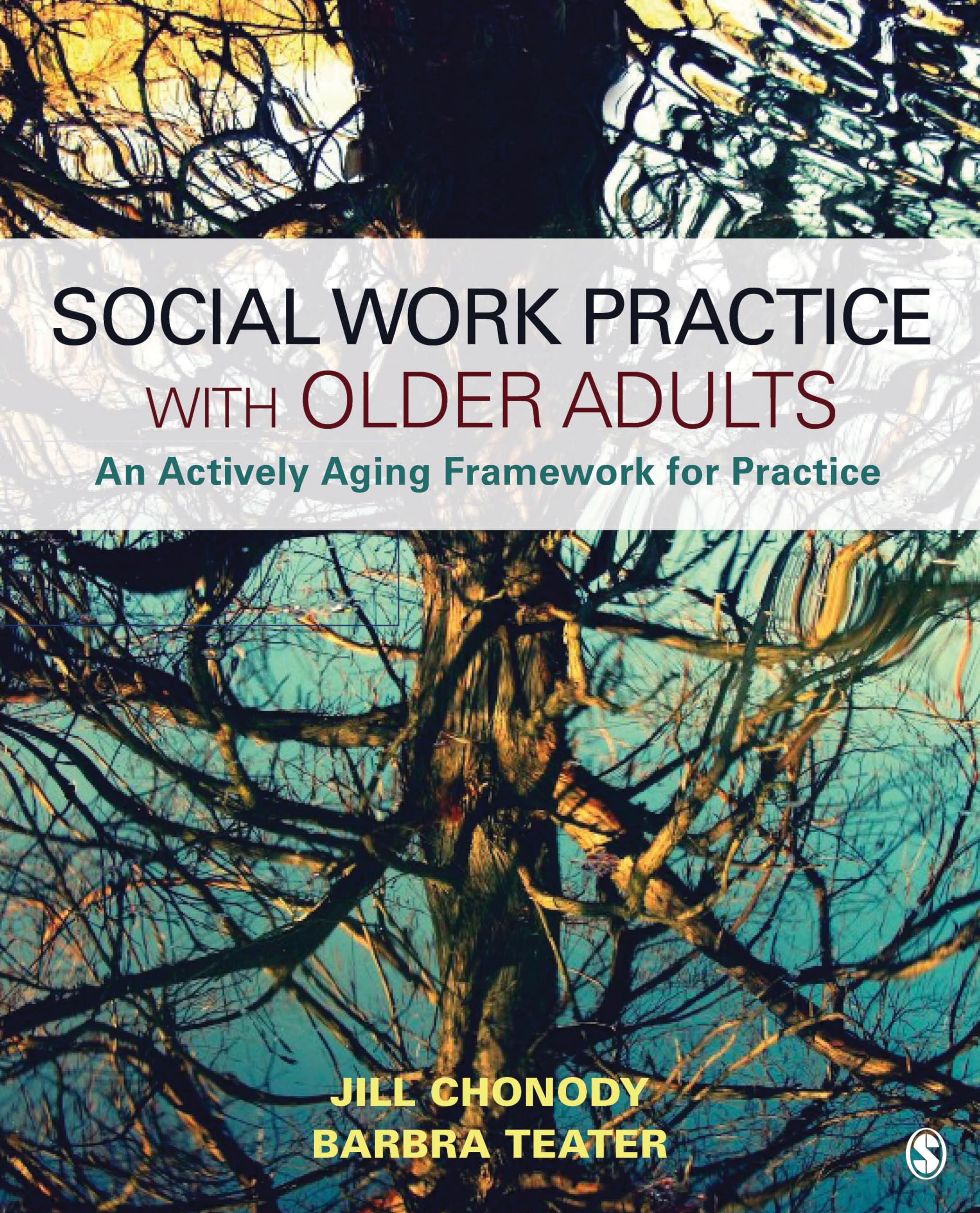 Social Work Practice With Older Adults: An Actively Aging Framework for Practice,Used