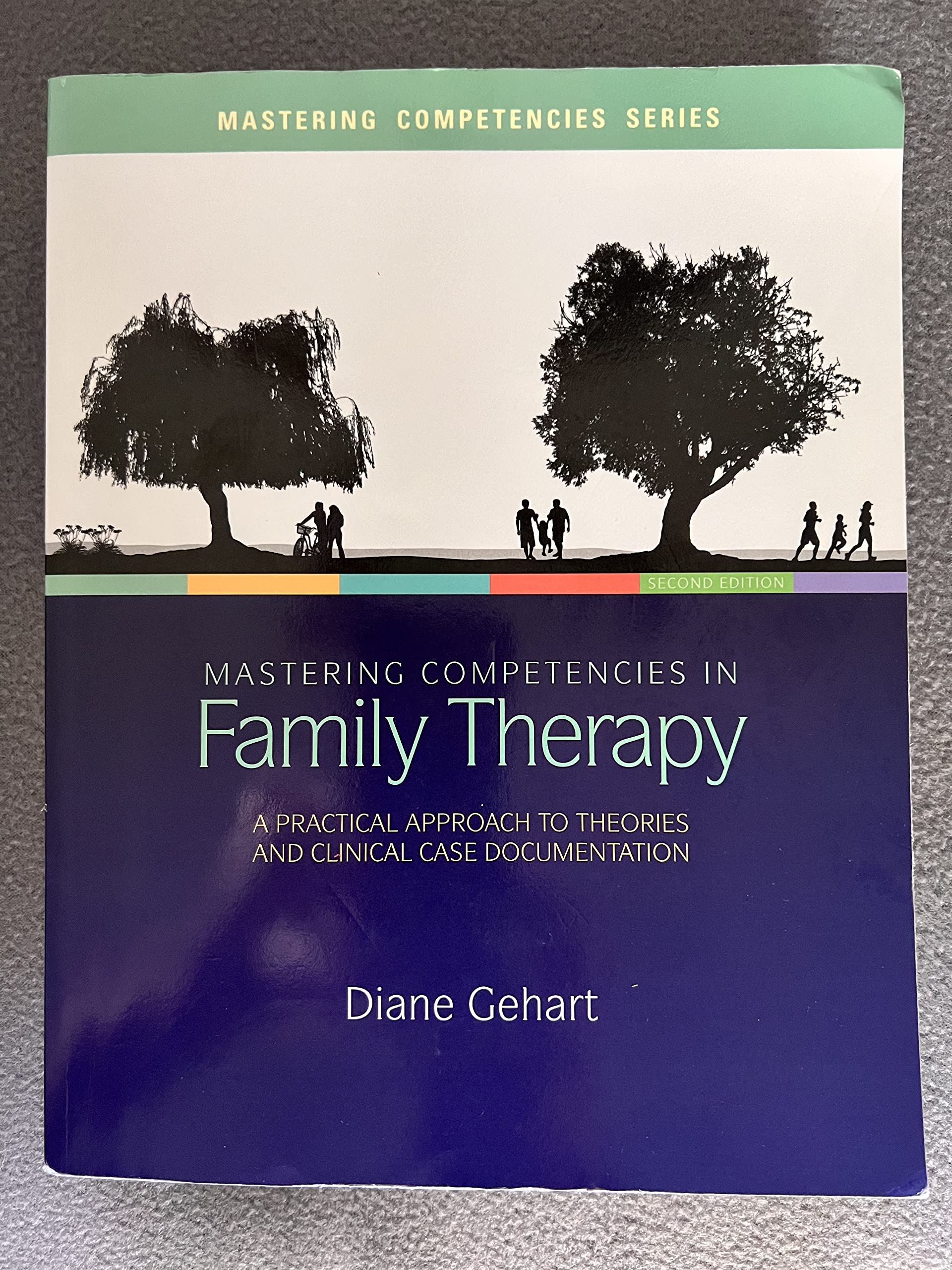 Mastering Competencies in Family Therapy: A Practical Approach to Theory and Clinical Case Documentation,Used