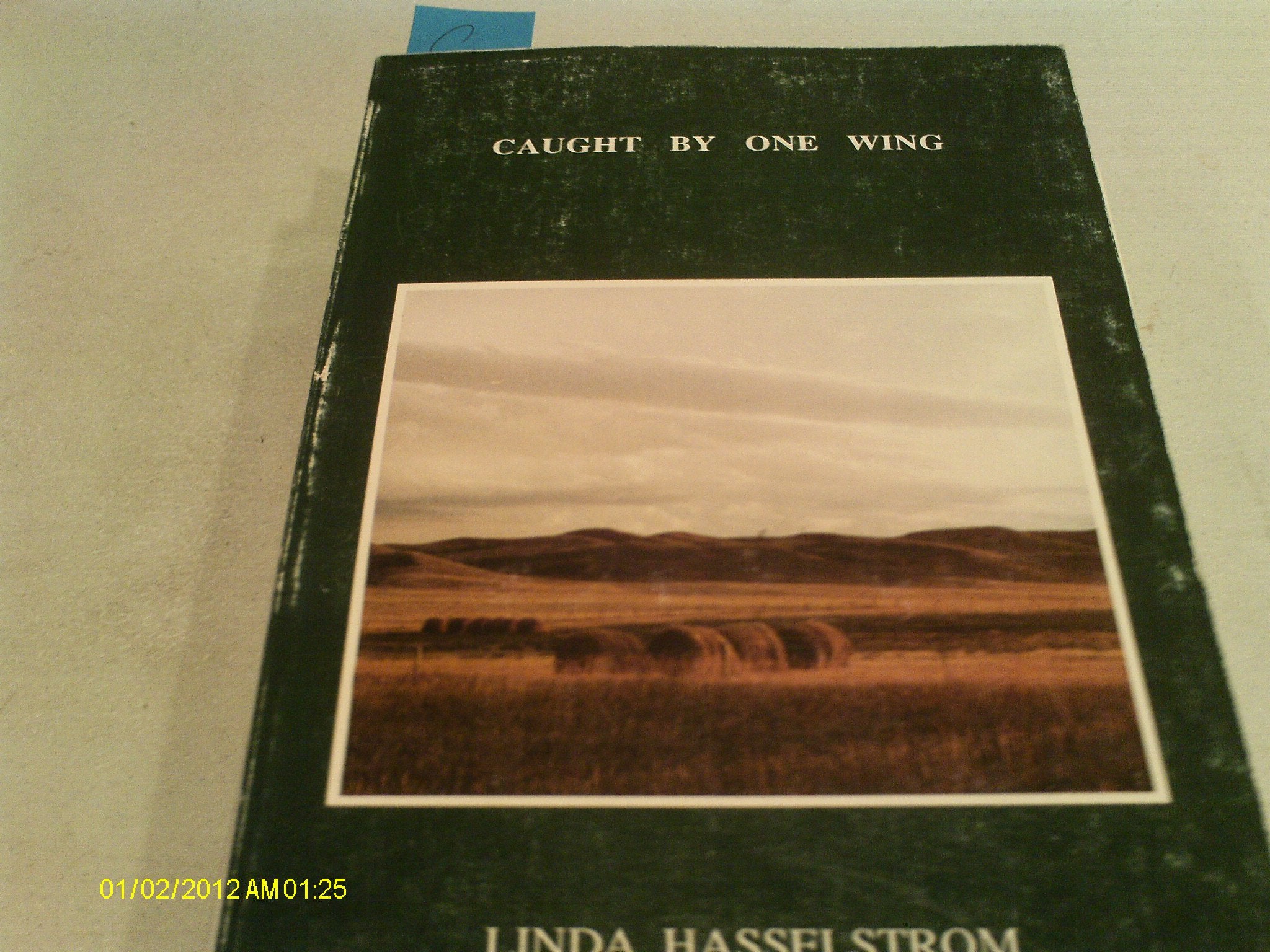 Caught by One Wing: Poems,Used