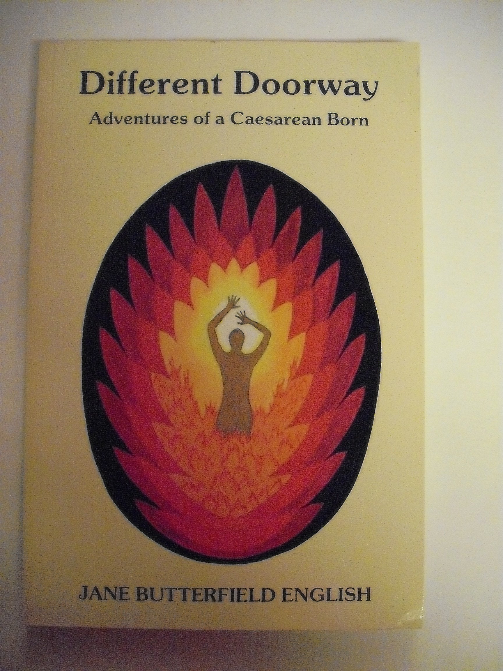 Different Doorway: Adventures of a Caesarean Born,Used